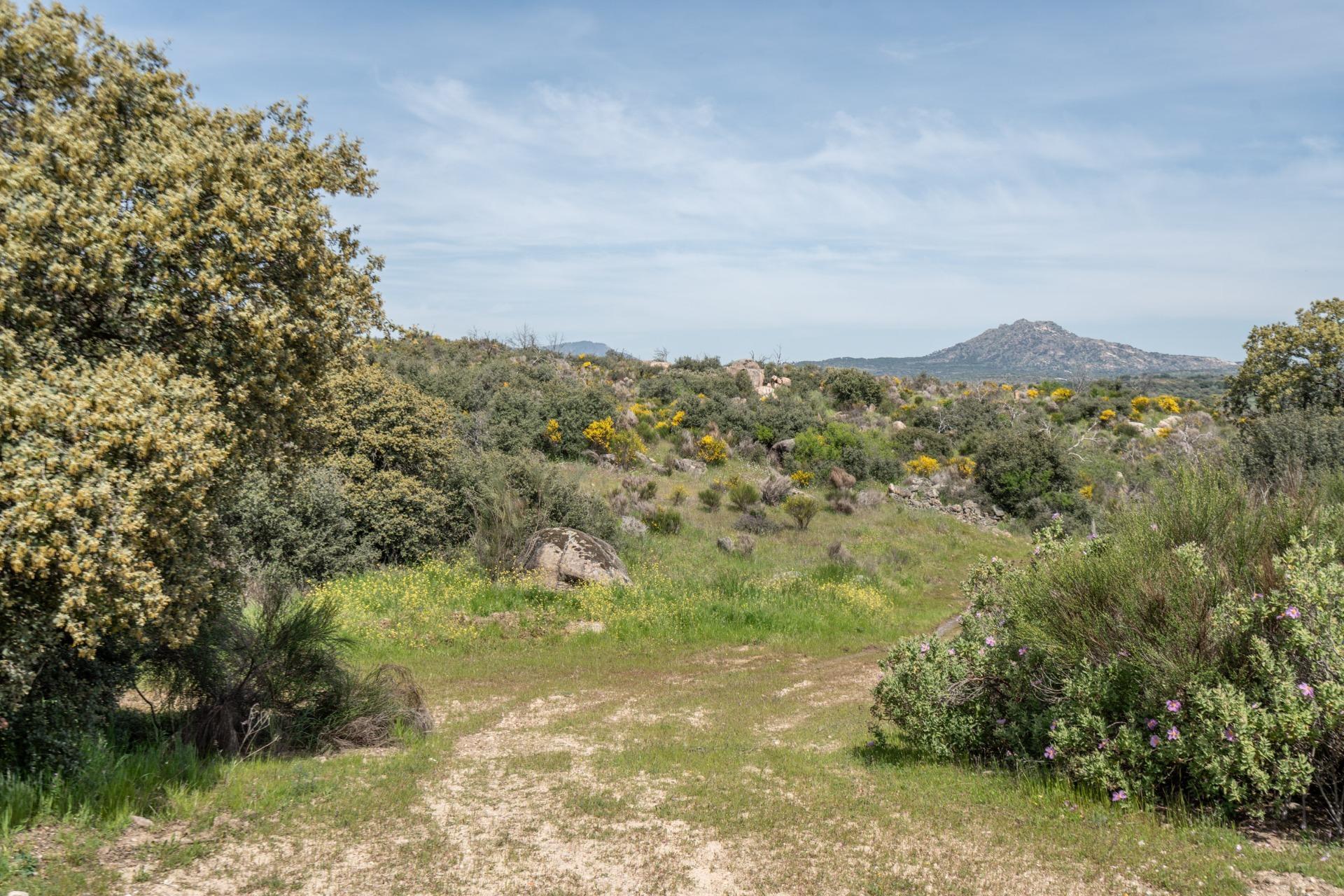 FINCA RÚSTICA EXCEPCIONAL A 1 HORA DE MADRID ? NATURALEZA, ENCANTO Y POTENCIAL EN ALMOROX Se venden