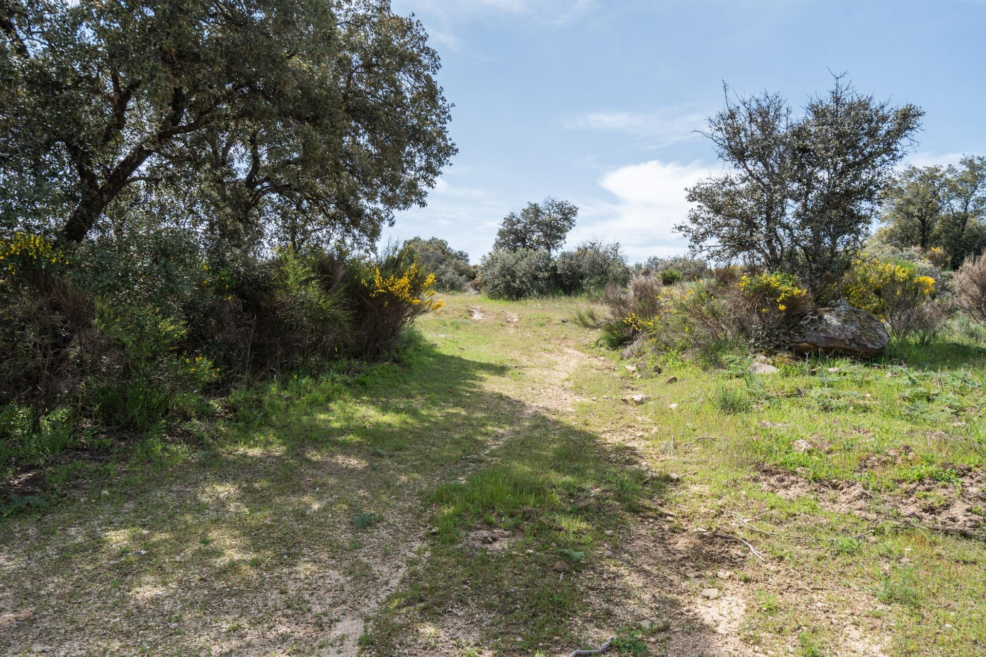 FINCA RÚSTICA EXCEPCIONAL A 1 HORA DE MADRID ? NATURALEZA, ENCANTO Y POTENCIAL EN ALMOROX Se venden
