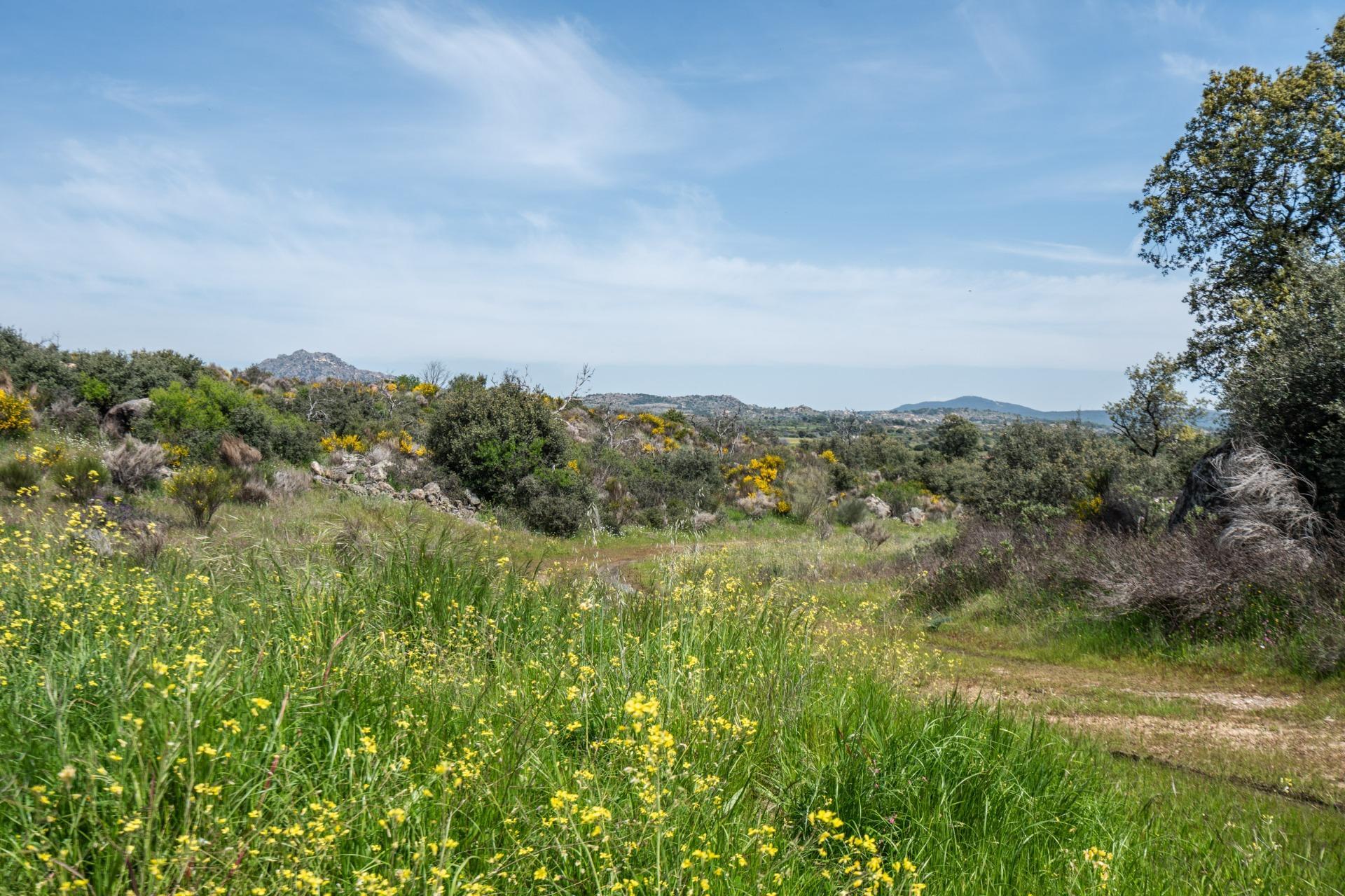 FINCA RÚSTICA EXCEPCIONAL A 1 HORA DE MADRID ? NATURALEZA, ENCANTO Y POTENCIAL EN ALMOROX Se venden