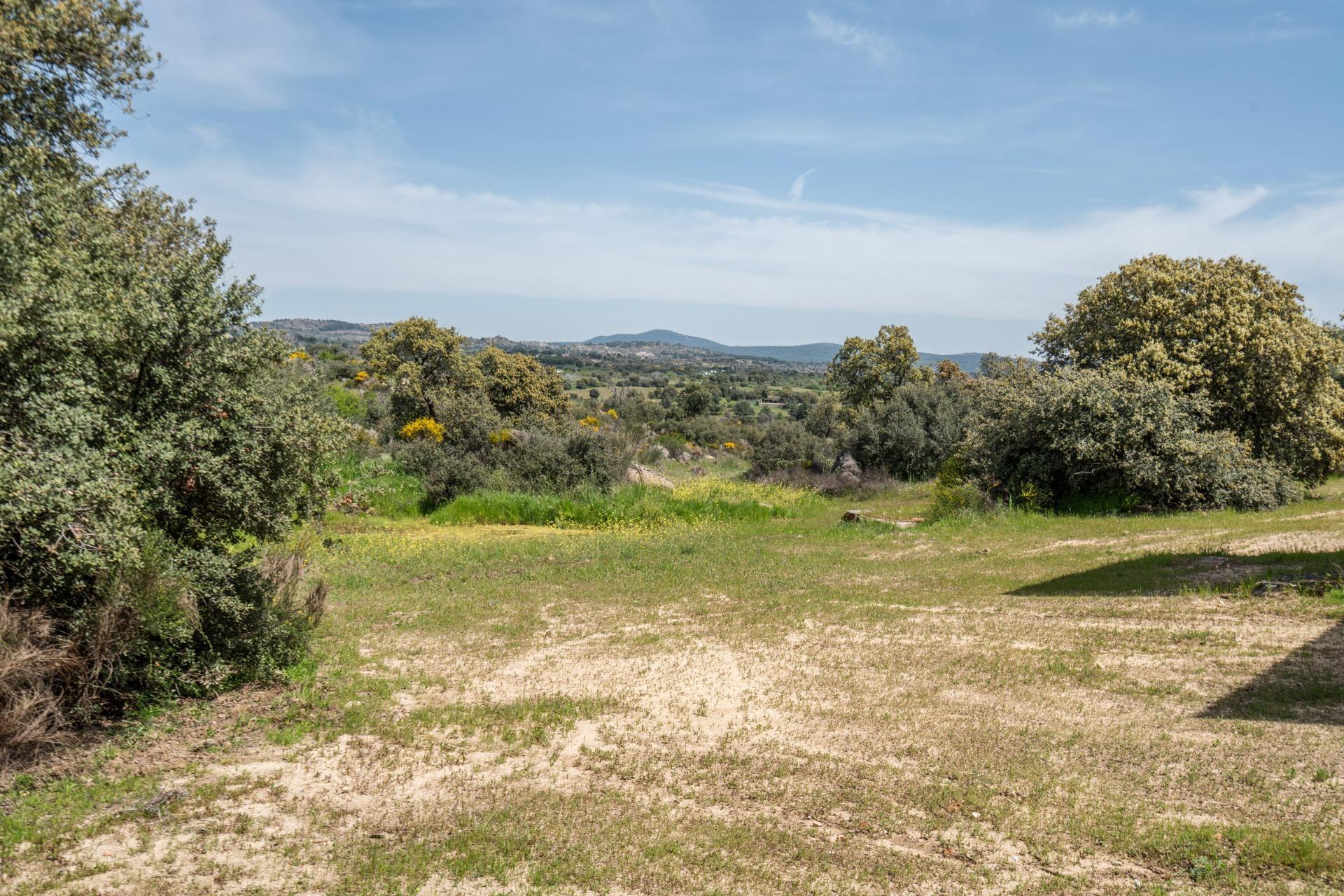 FINCA RÚSTICA EXCEPCIONAL A 1 HORA DE MADRID ? NATURALEZA, ENCANTO Y POTENCIAL EN ALMOROX Se venden