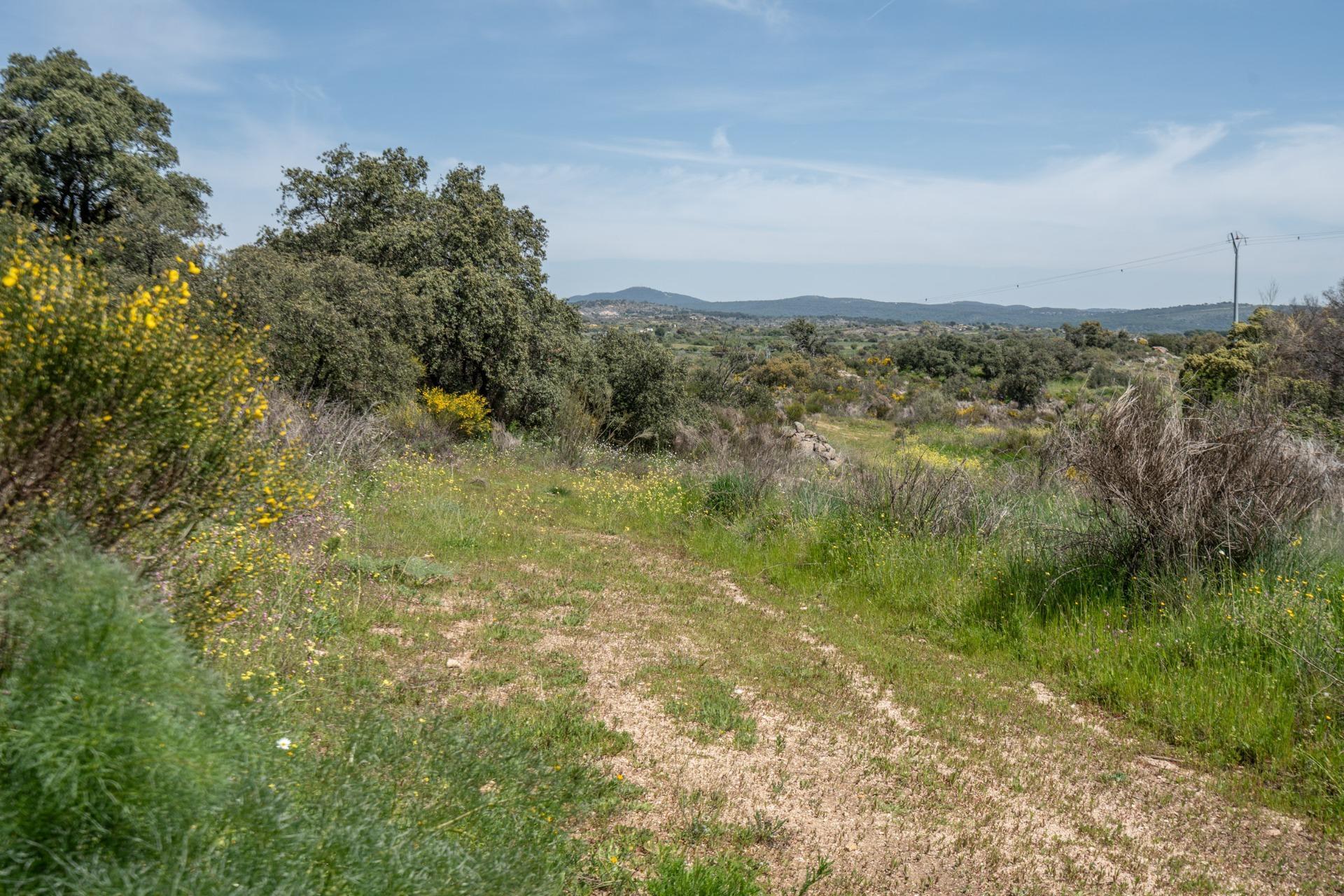 FINCA RÚSTICA EXCEPCIONAL A 1 HORA DE MADRID ? NATURALEZA, ENCANTO Y POTENCIAL EN ALMOROX Se venden