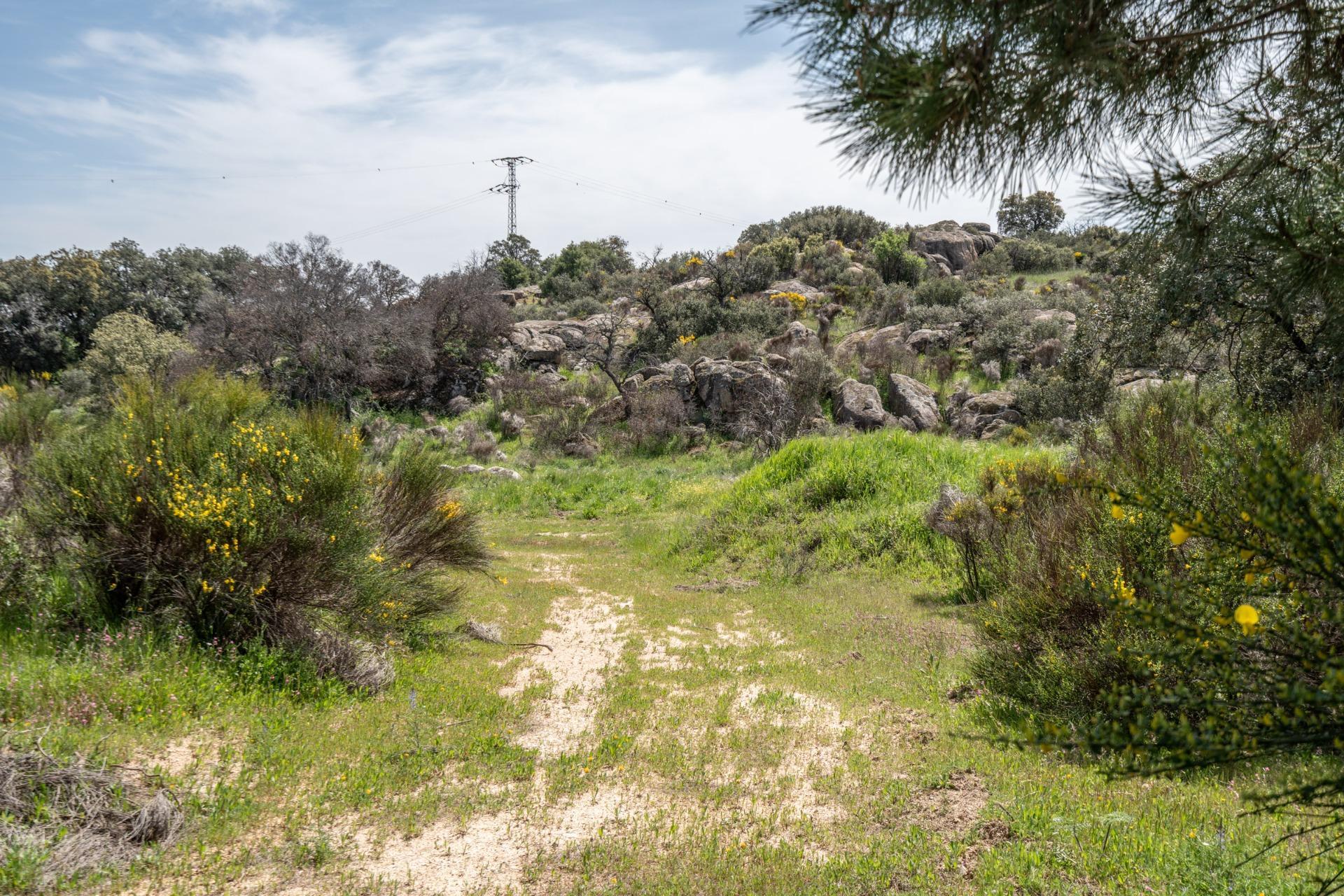 FINCA RÚSTICA EXCEPCIONAL A 1 HORA DE MADRID ? NATURALEZA, ENCANTO Y POTENCIAL EN ALMOROX Se venden