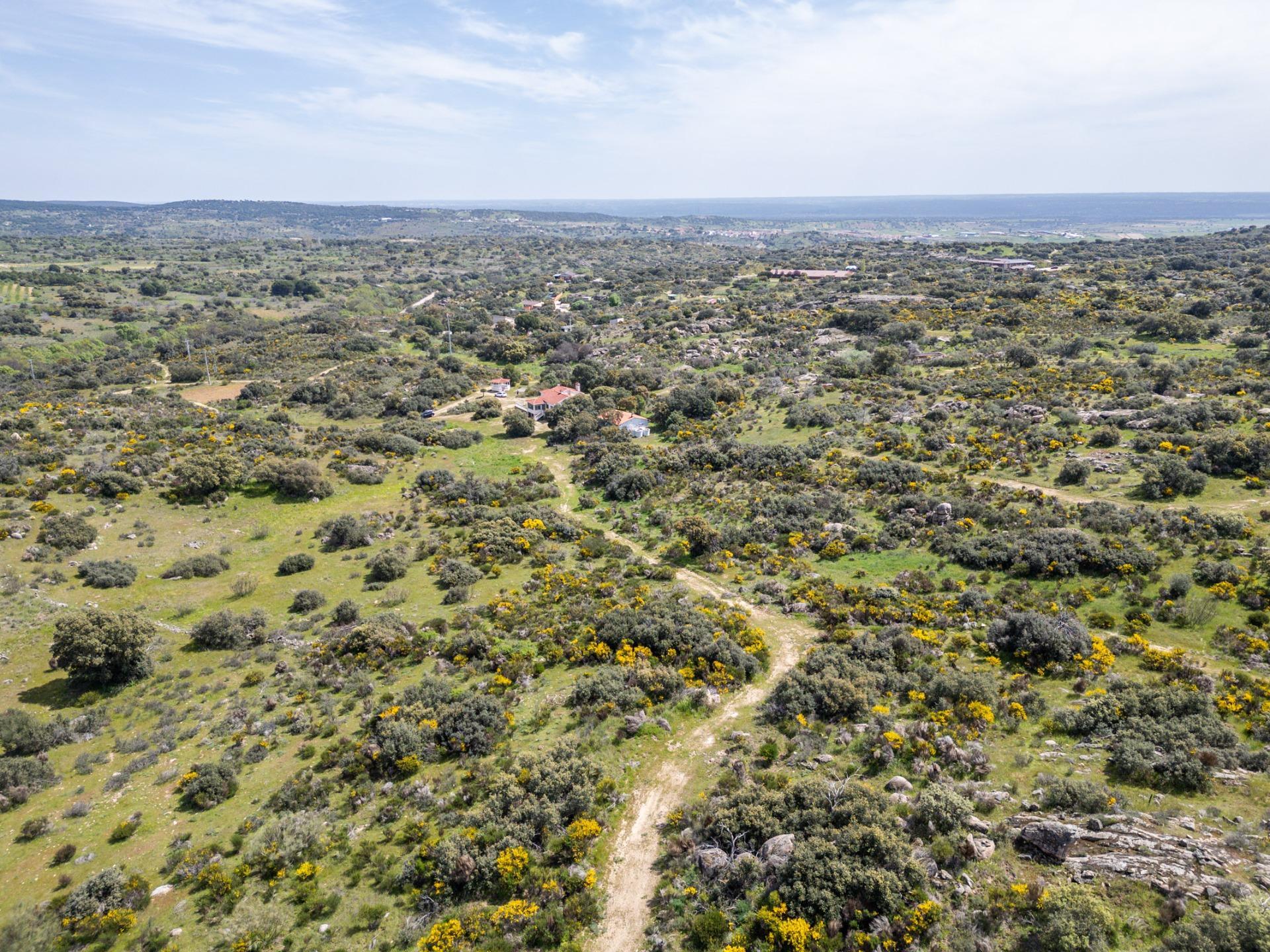 FINCA RÚSTICA EXCEPCIONAL A 1 HORA DE MADRID ? NATURALEZA, ENCANTO Y POTENCIAL EN ALMOROX Se venden