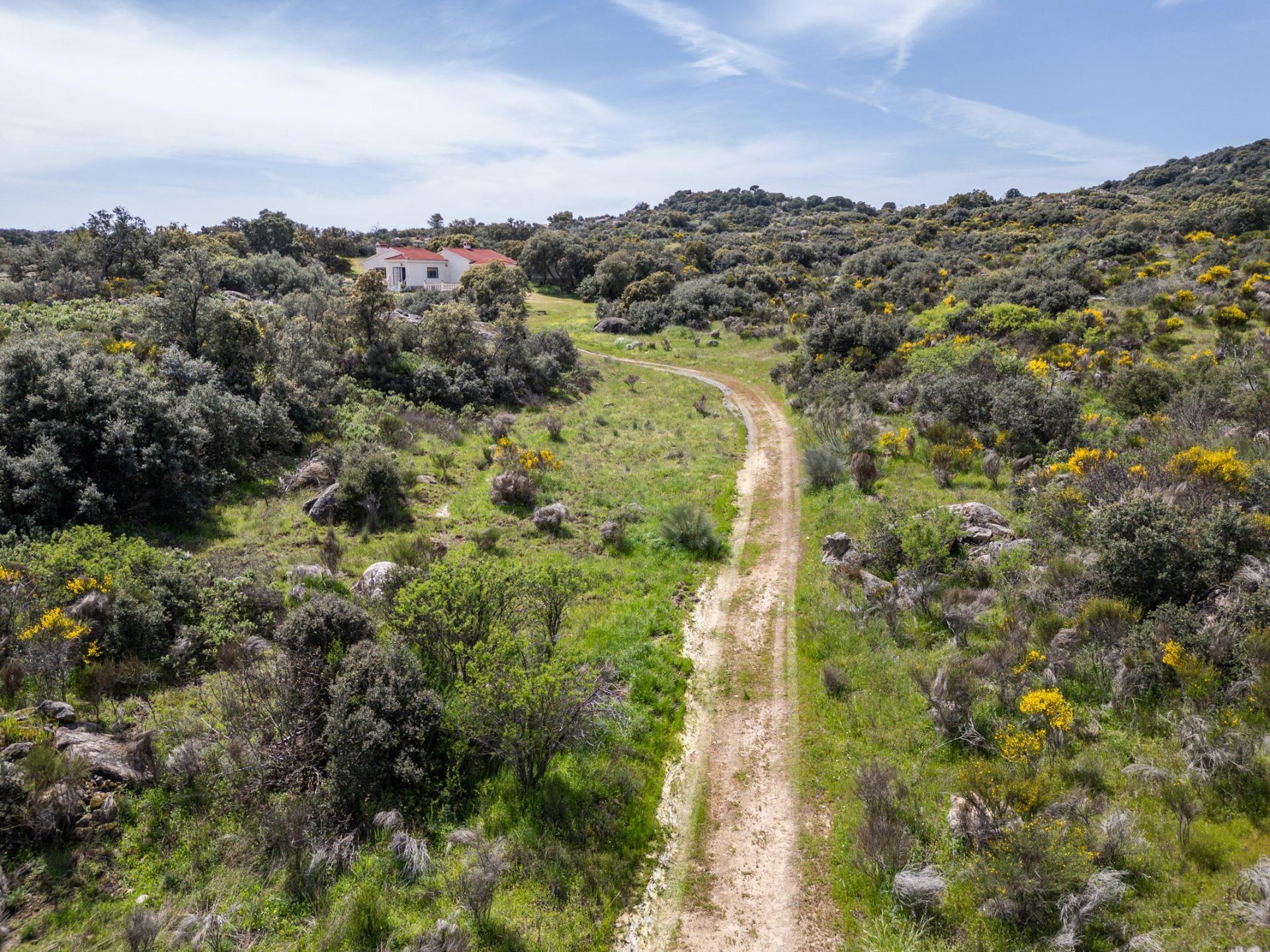 FINCA RÚSTICA EXCEPCIONAL A 1 HORA DE MADRID ? NATURALEZA, ENCANTO Y POTENCIAL EN ALMOROX Se venden