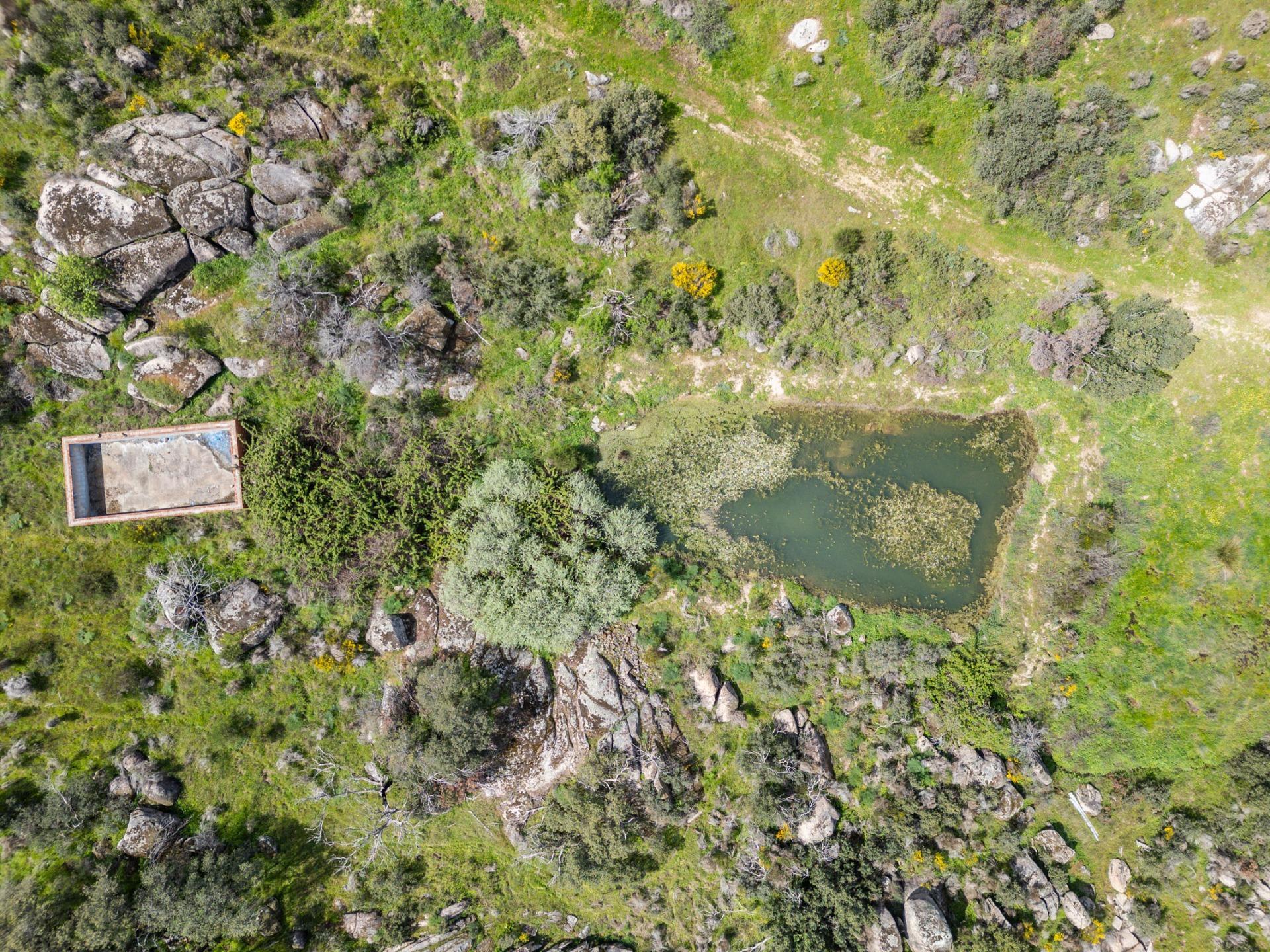FINCA RÚSTICA EXCEPCIONAL A 1 HORA DE MADRID ? NATURALEZA, ENCANTO Y POTENCIAL EN ALMOROX Se venden