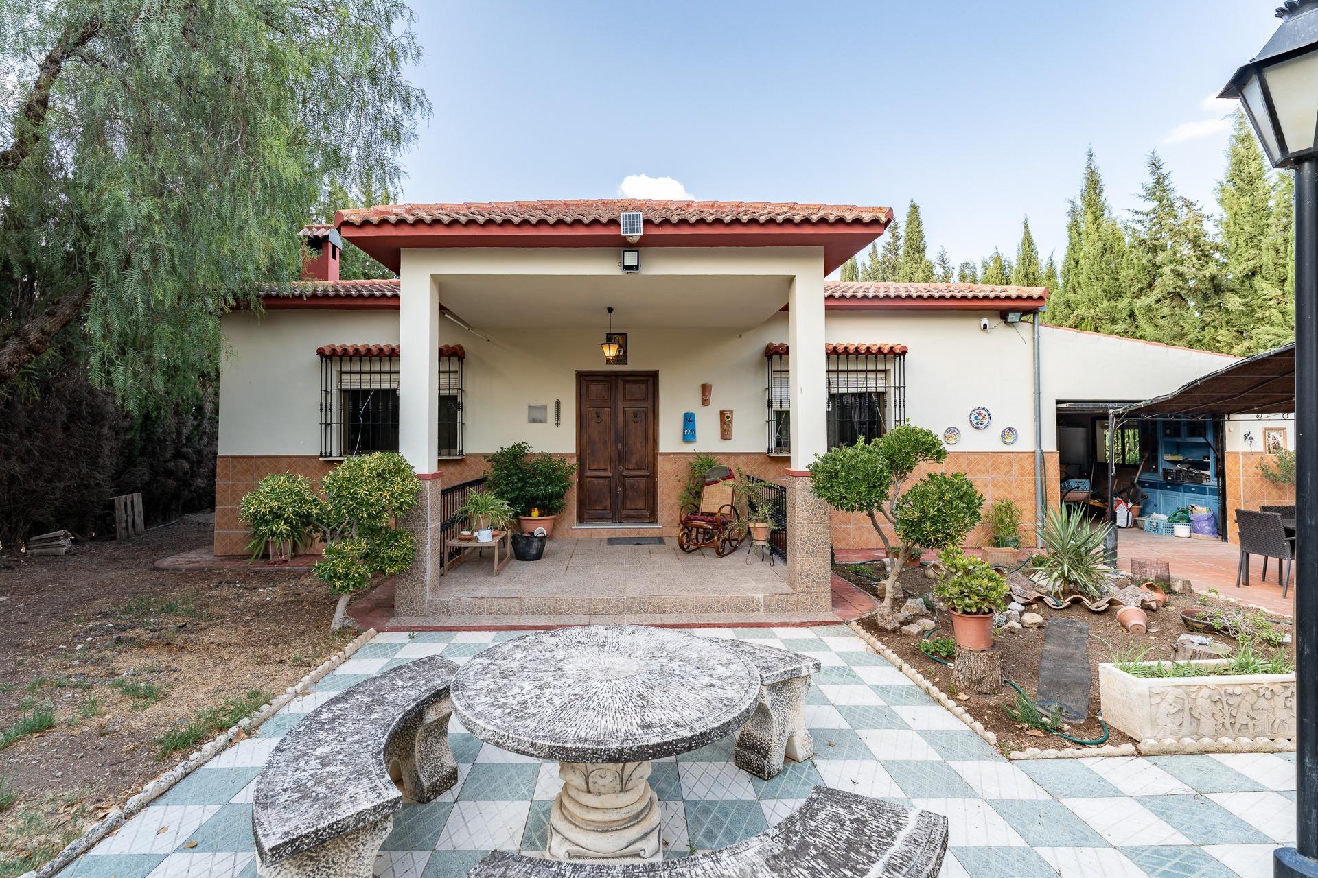 Casas o chalets-Venta-1968963