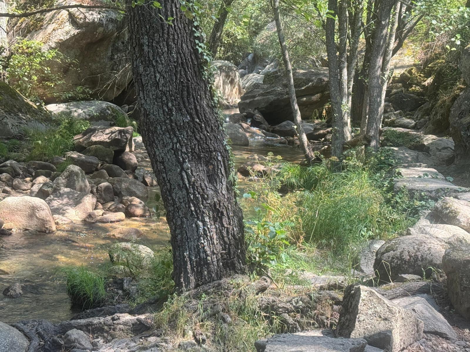 ^^EN VENTA ESTUPENDO CHALET ADOSADO TOTALMENTE REFORMADO EN LANZAHITA, ÁVILA^**^ Descubre esta magnífica vivienda donde podrás disfrutar de la tranquilidad, la naturaleza y la calidad de vida que o