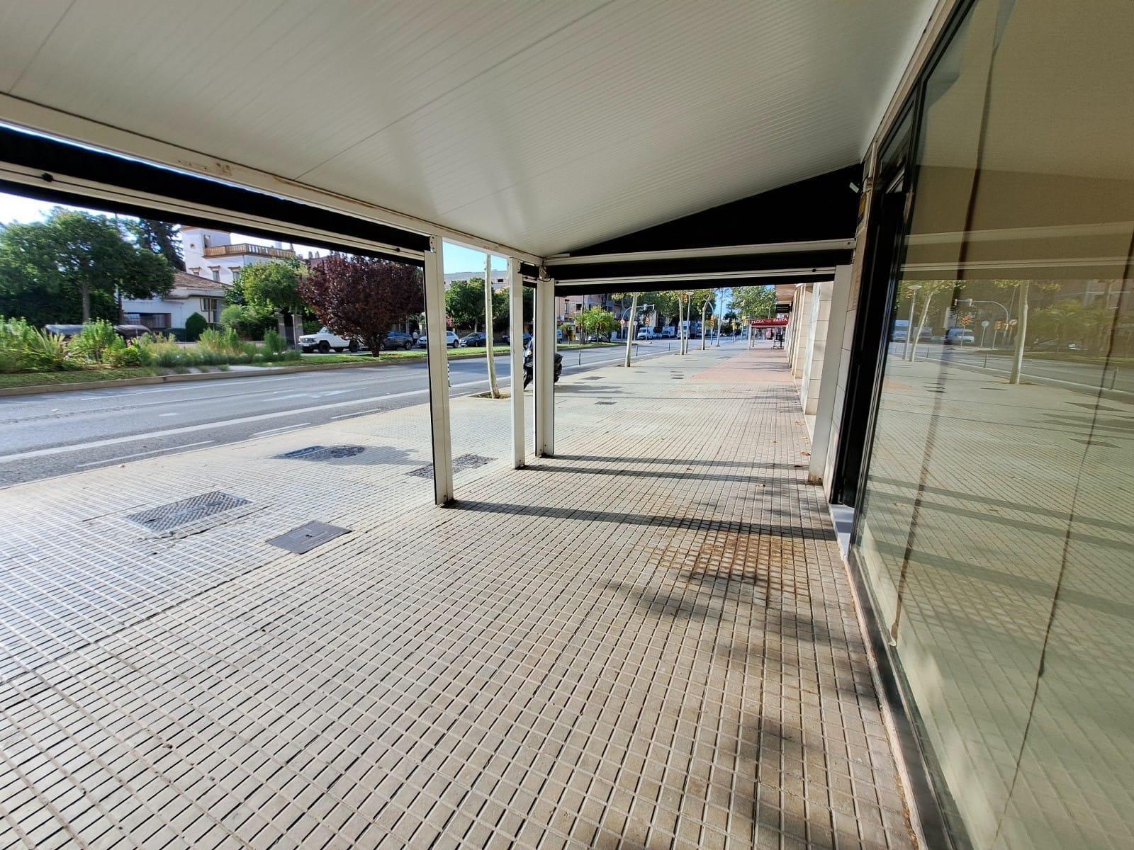 Business in Palma de Mallorca