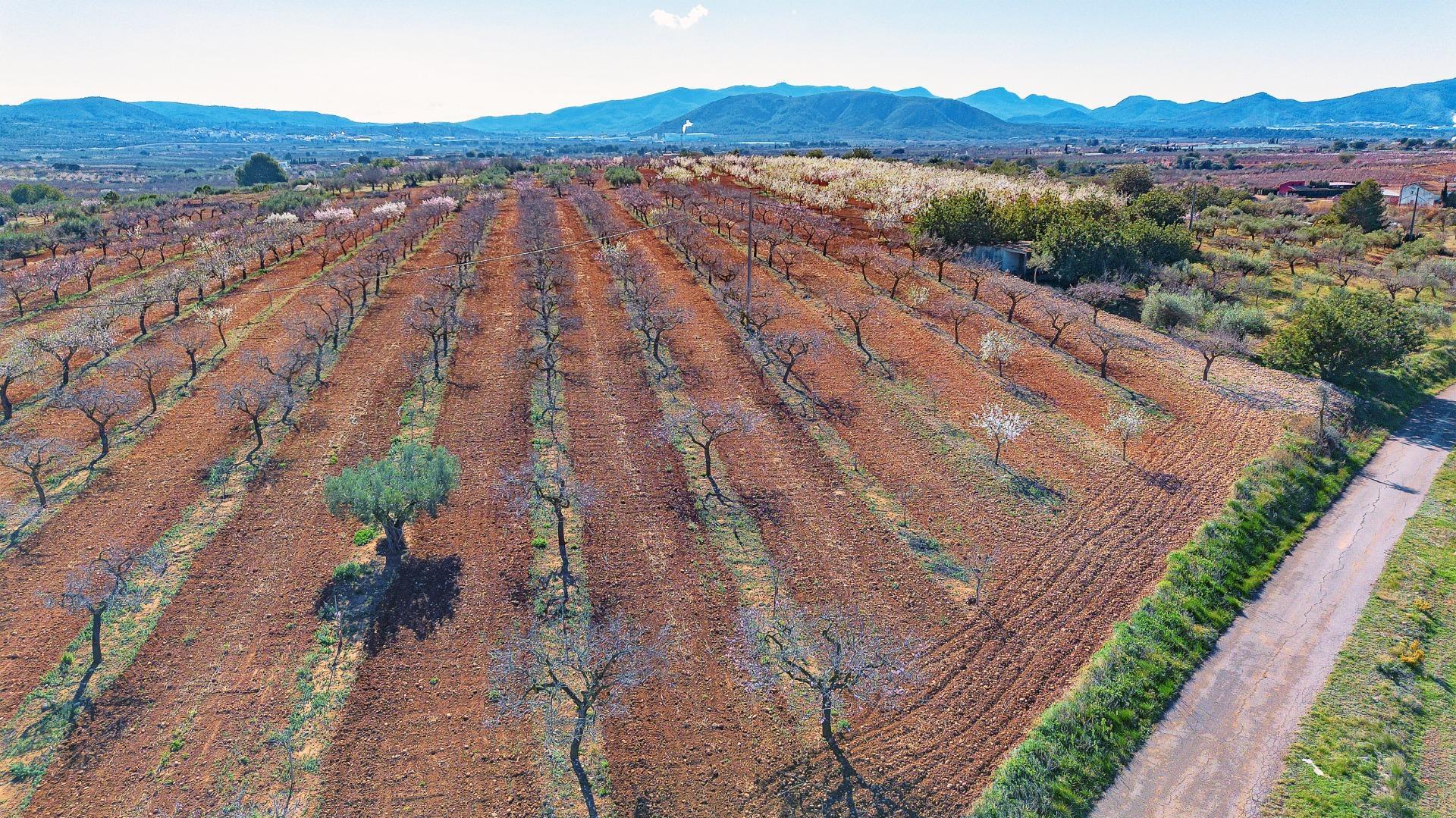 Fincas y solares-Venta-Vall d