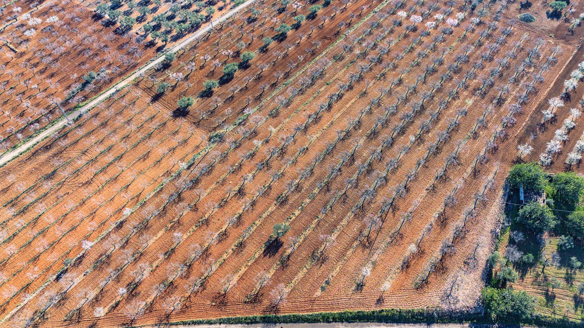 Fincas y solares-Venta-Vall d