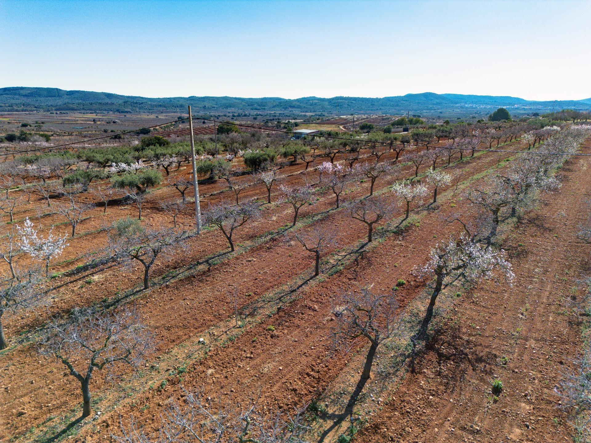 Fincas y solares-Venta-Vall d