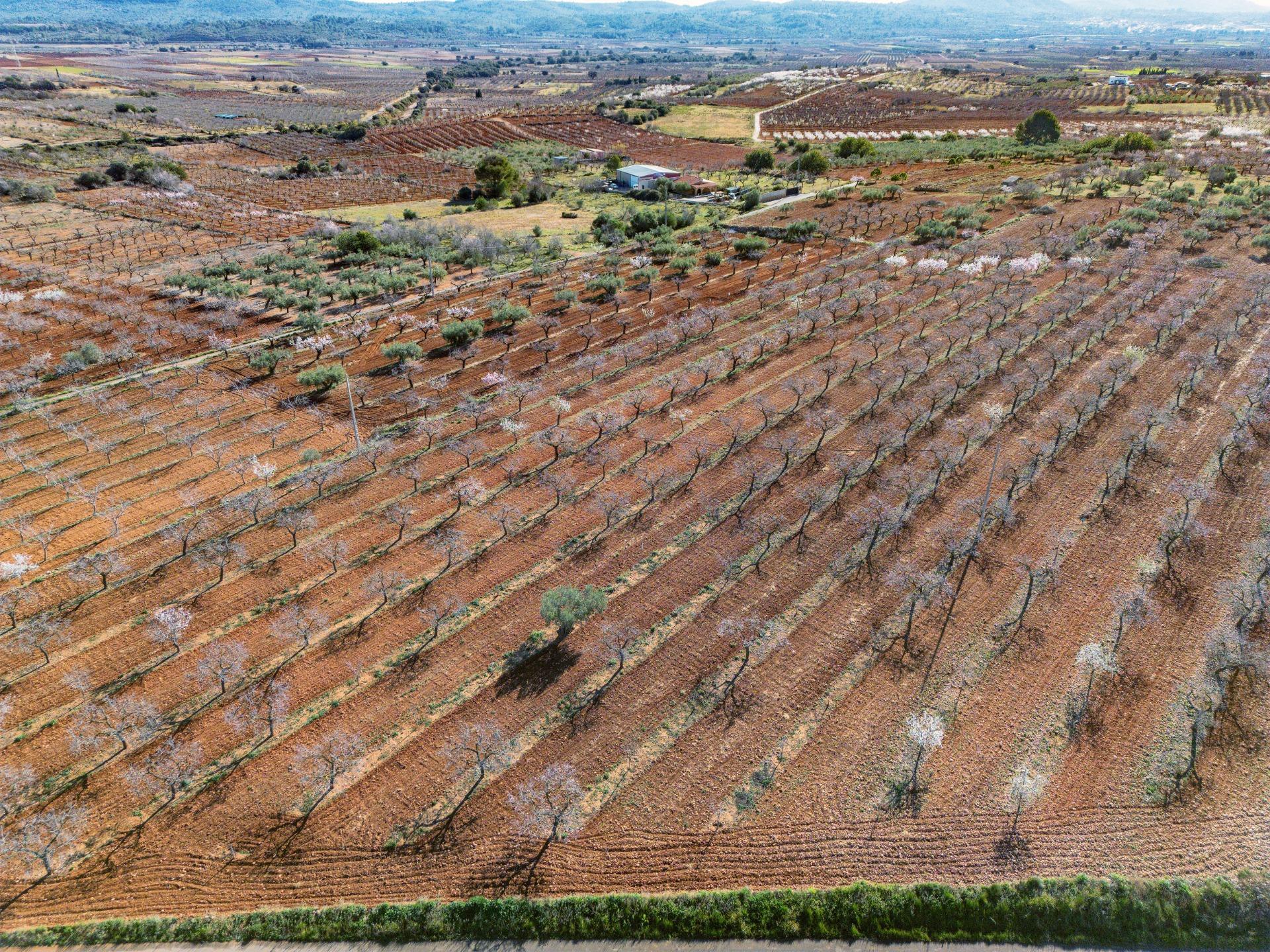 Fincas y solares-Venta-Vall d