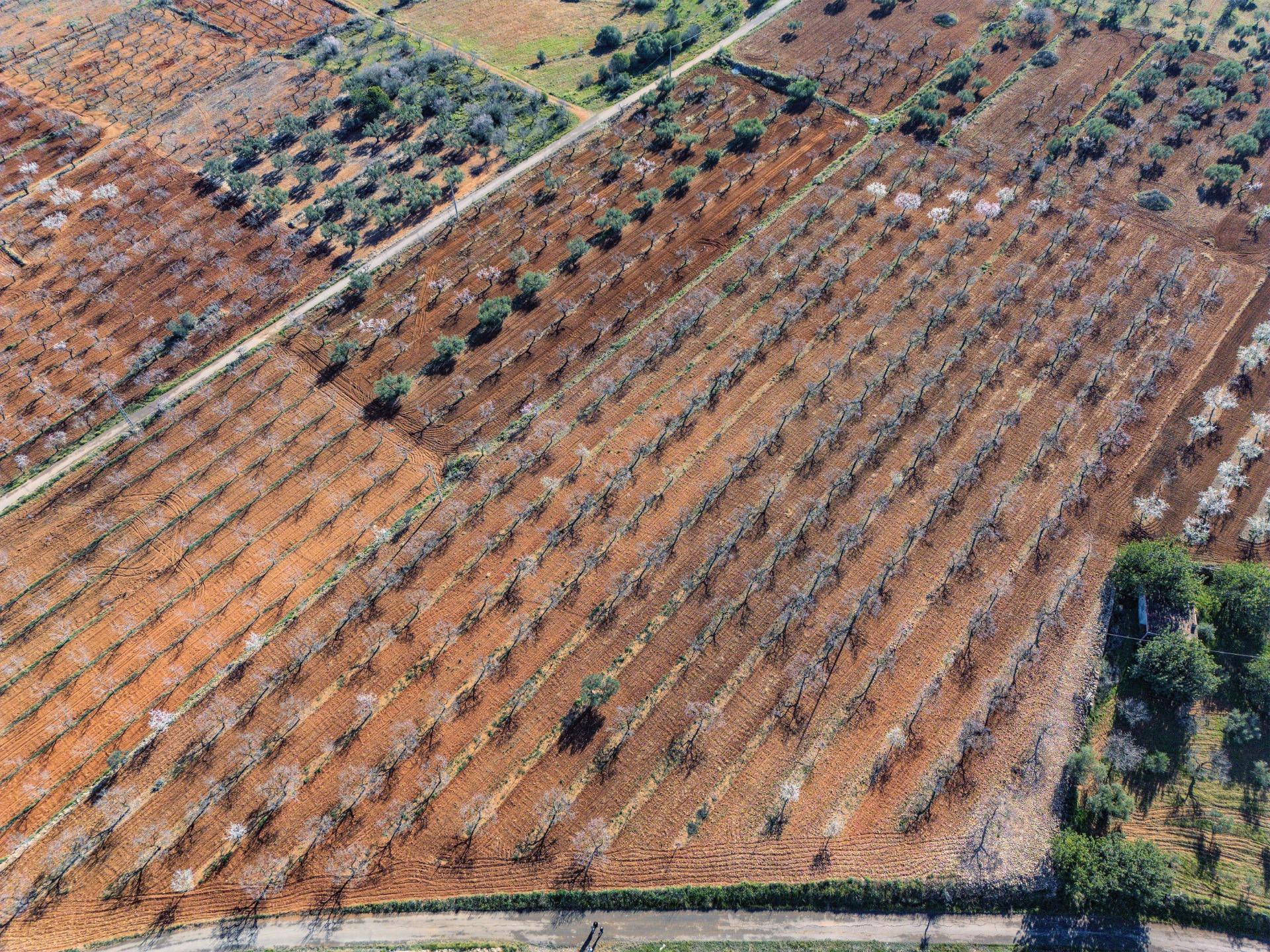 Fincas y solares-Venta-Vall d