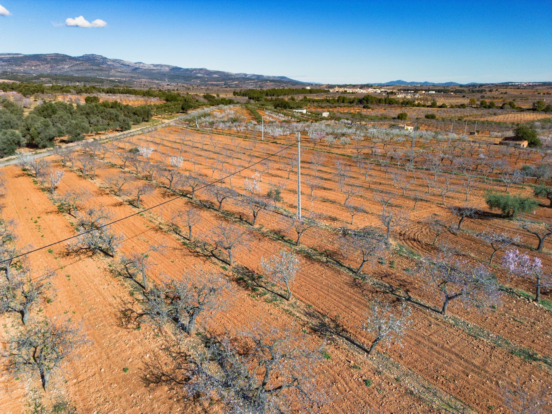 Fincas y solares-Venta-Vall d