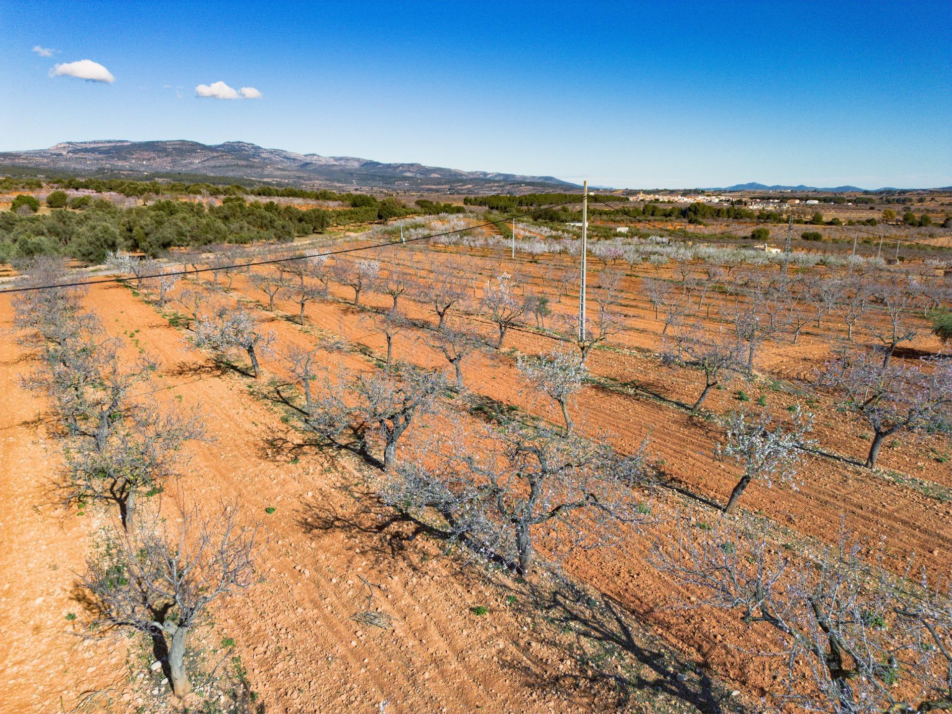 Fincas y solares-Venta-Vall d