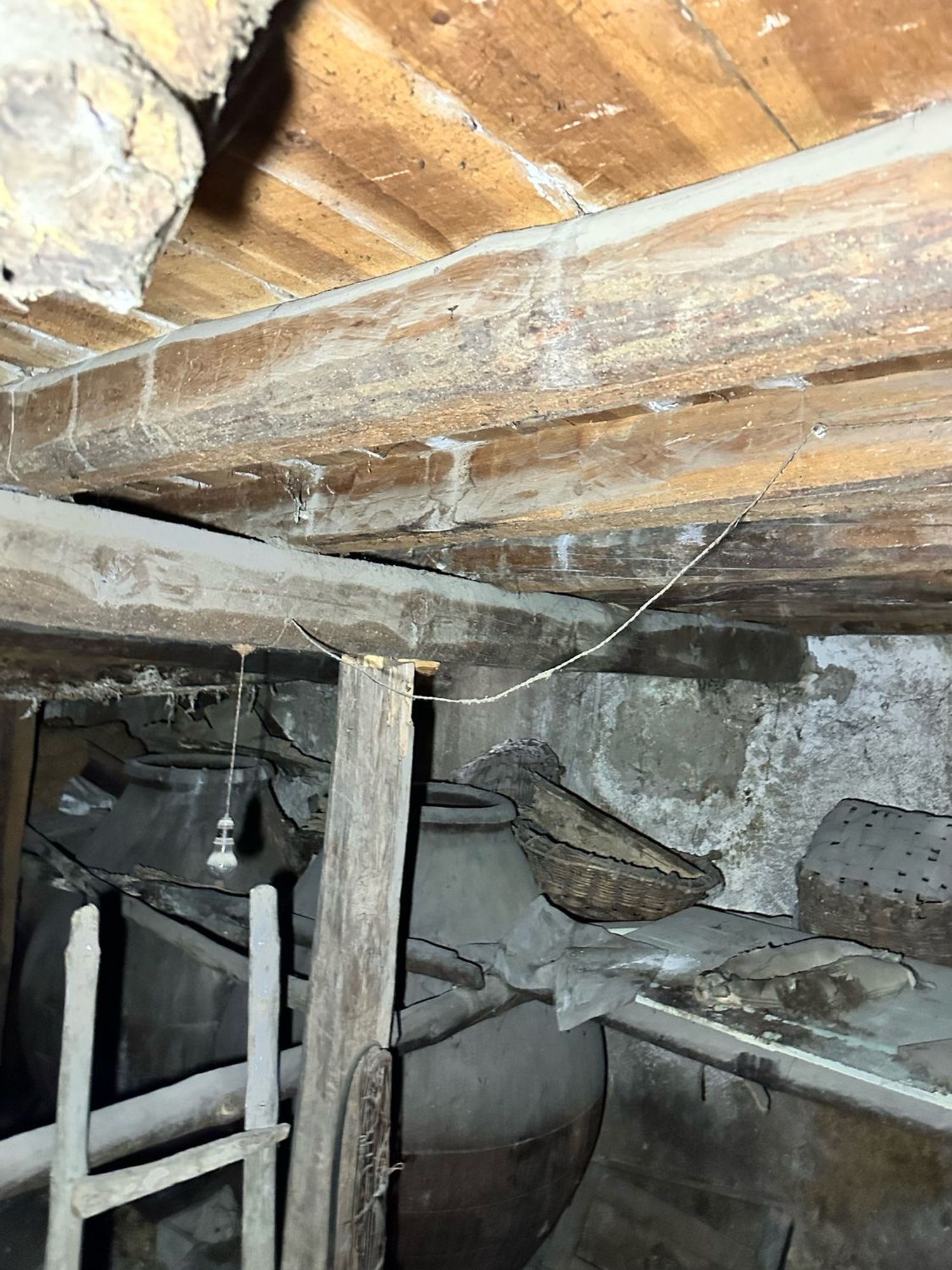 Casas o chalets-Venta-El Hoyo de Pinares-1836203-Foto-4