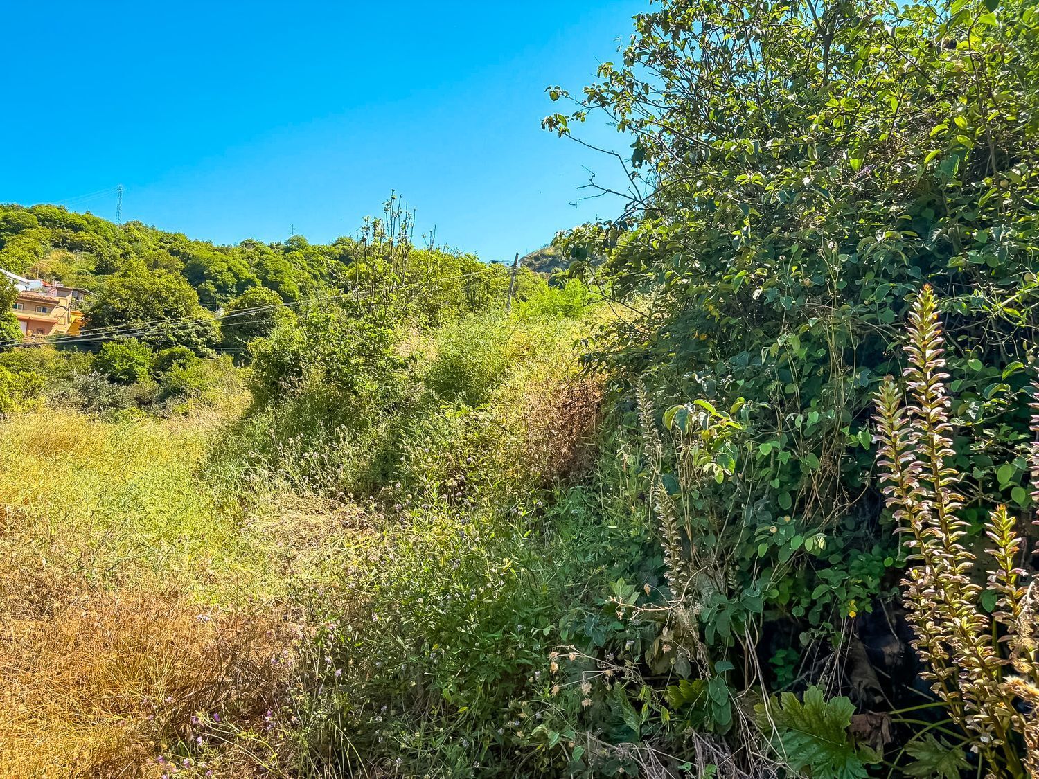 Fincas y solares-Venta-Valleseco-1904774-Foto-11