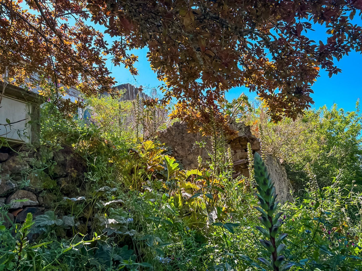 Fincas y solares-Venta-Valleseco-1904774-Foto-15