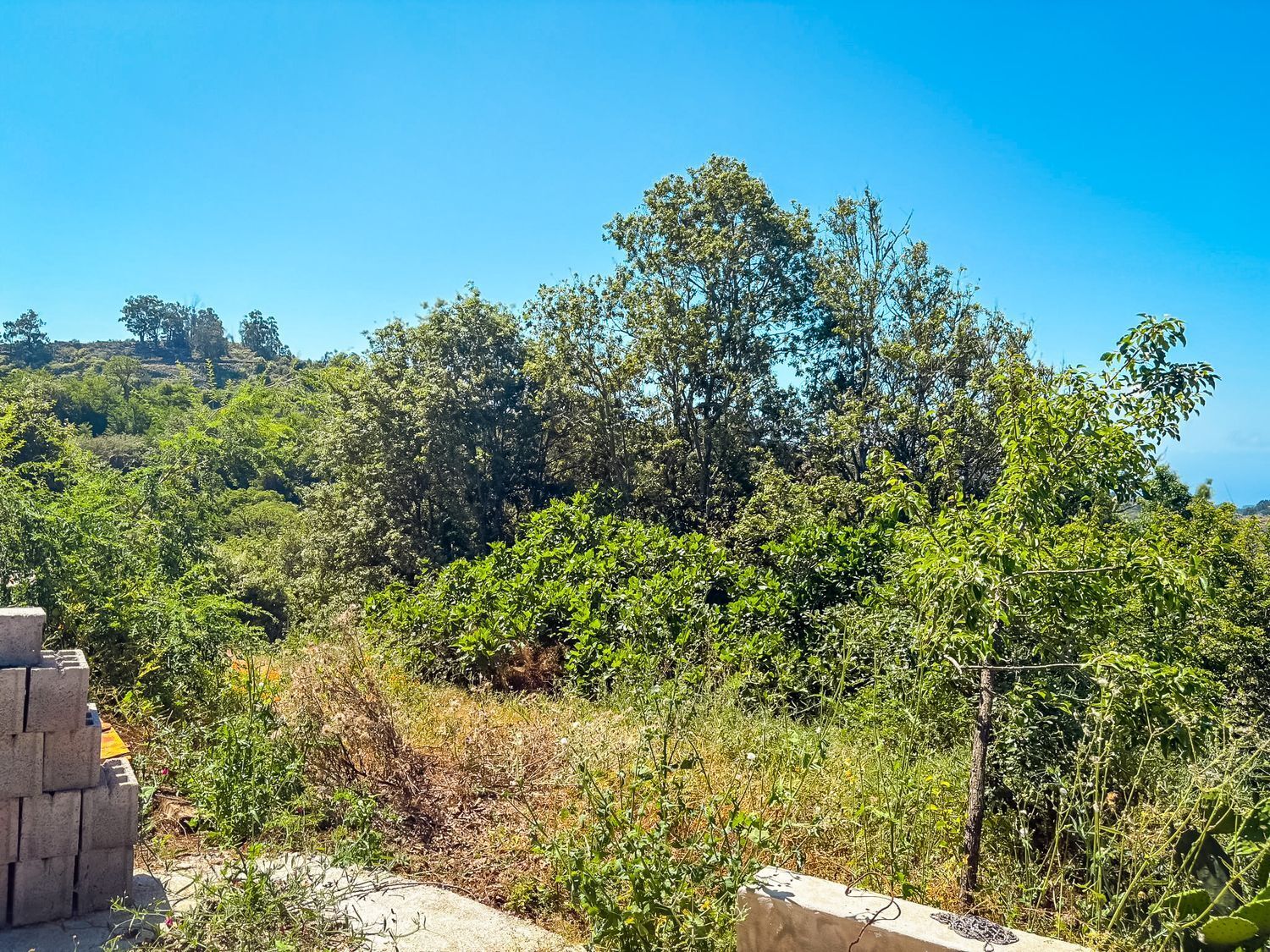 Fincas y solares-Venta-Valleseco-1904774-Foto-27