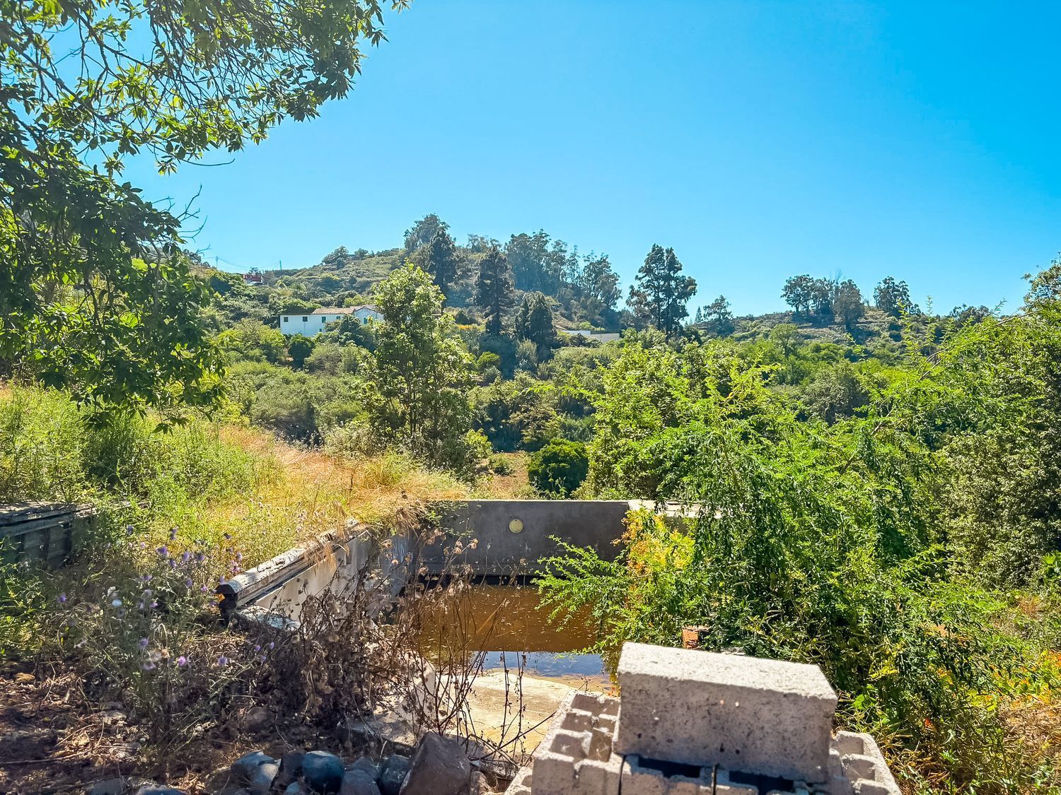 Fincas y solares-Venta-Valleseco-1904774-Foto-28