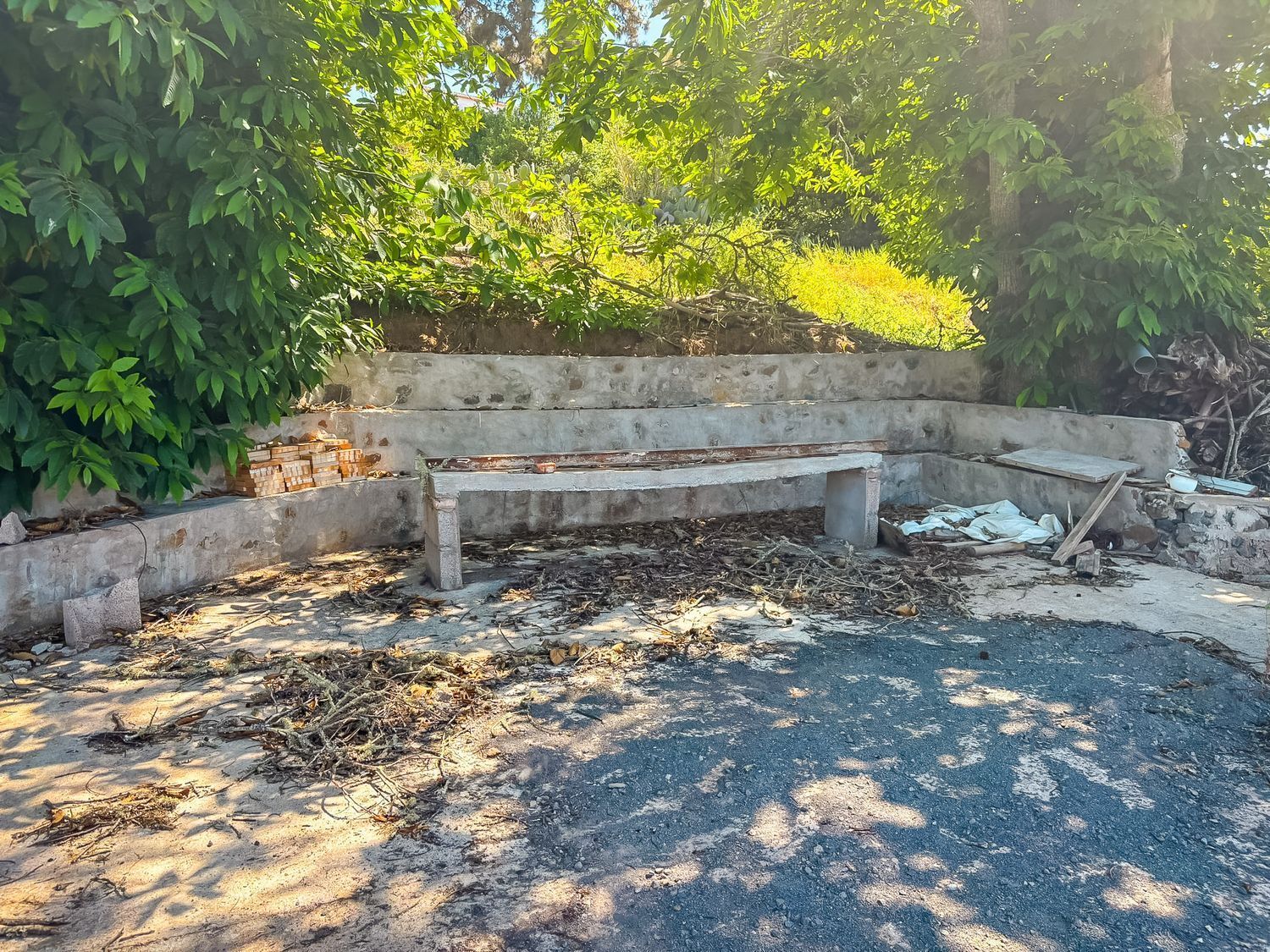 Fincas y solares-Venta-Valleseco-1904774-Foto-22