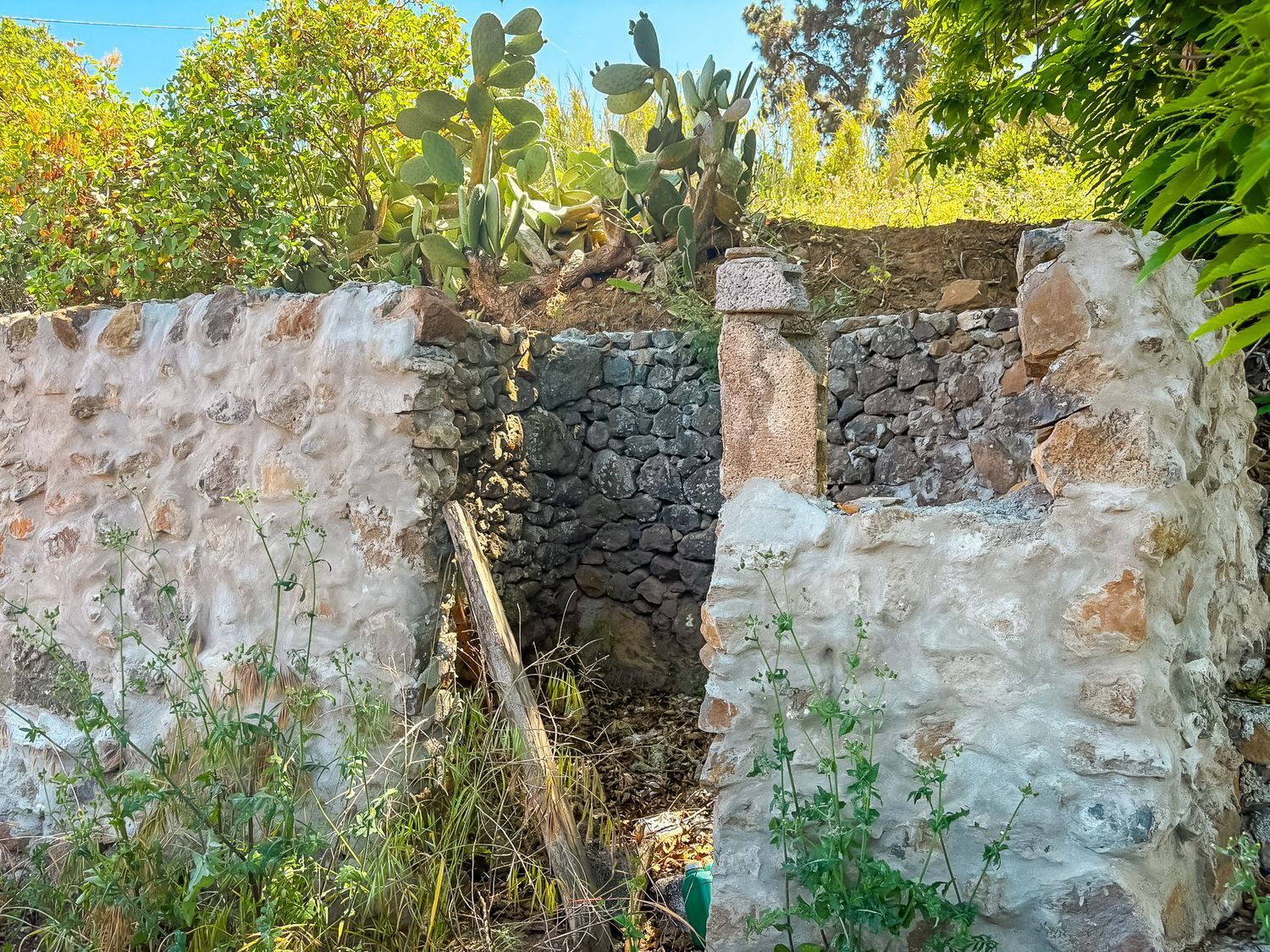 Fincas y solares-Venta-Valleseco-1904774-Foto-25