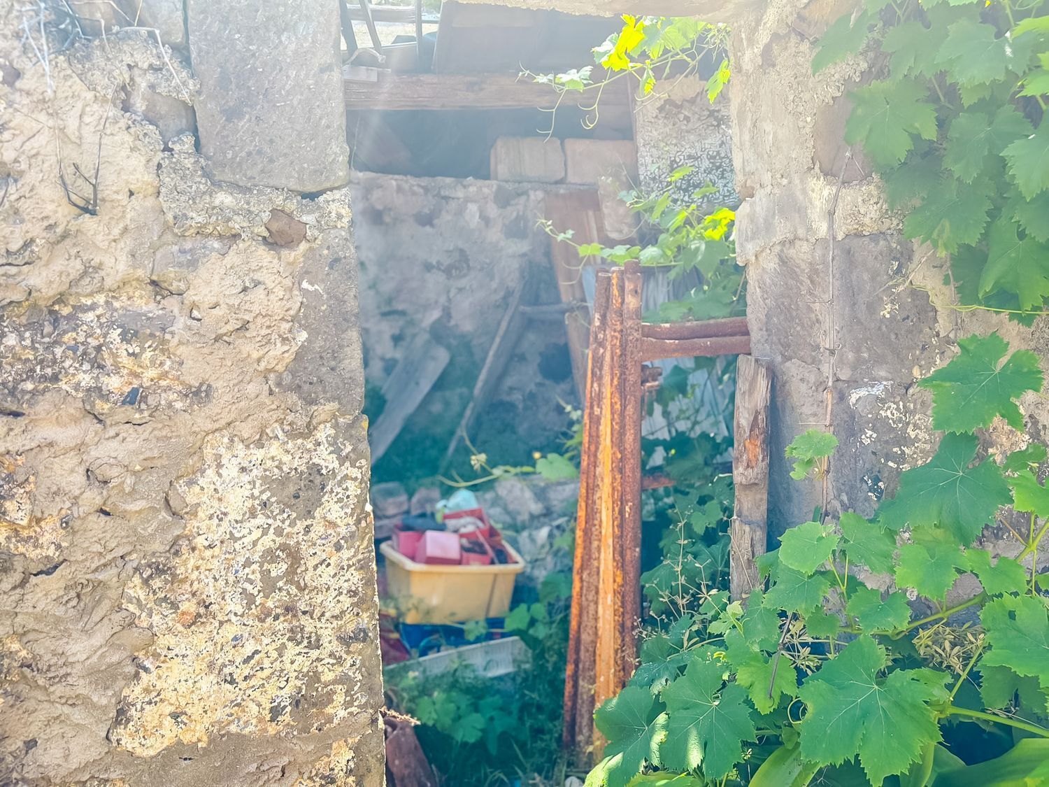 Fincas y solares-Venta-Valleseco-1904774-Foto-37