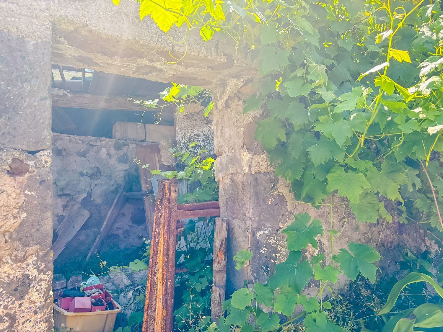 Fincas y solares-Venta-Valleseco-1904774-Foto-38