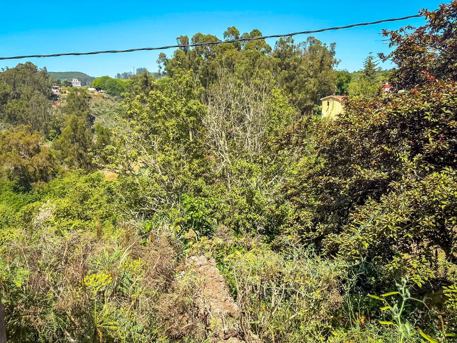 Fincas y solares-Venta-Valleseco-1904774-Foto-41