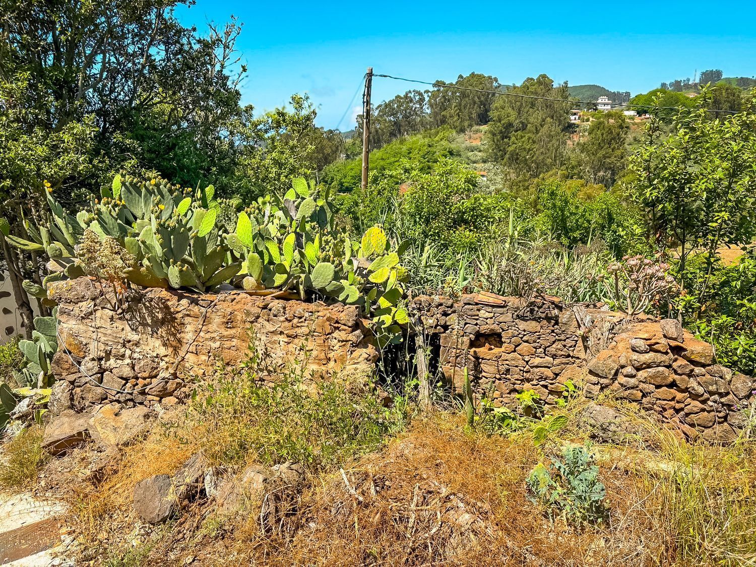 Fincas y solares-Venta-Valleseco-1904774-Foto-50