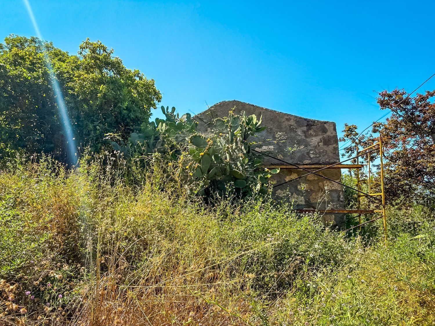 Fincas y solares-Venta-Valleseco-1904774-Foto-54