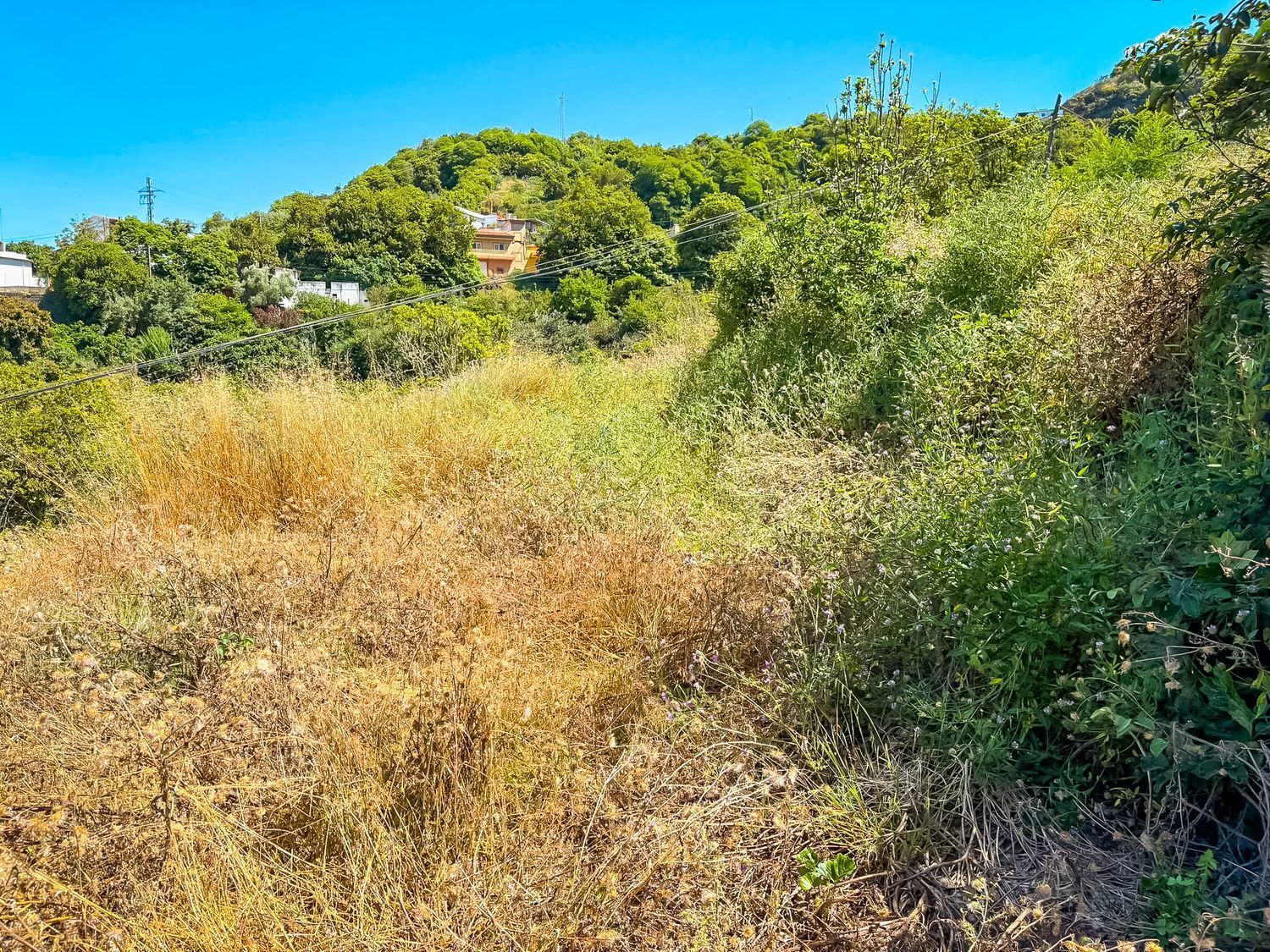 Fincas y solares-Venta-Valleseco-1904774-Foto-55