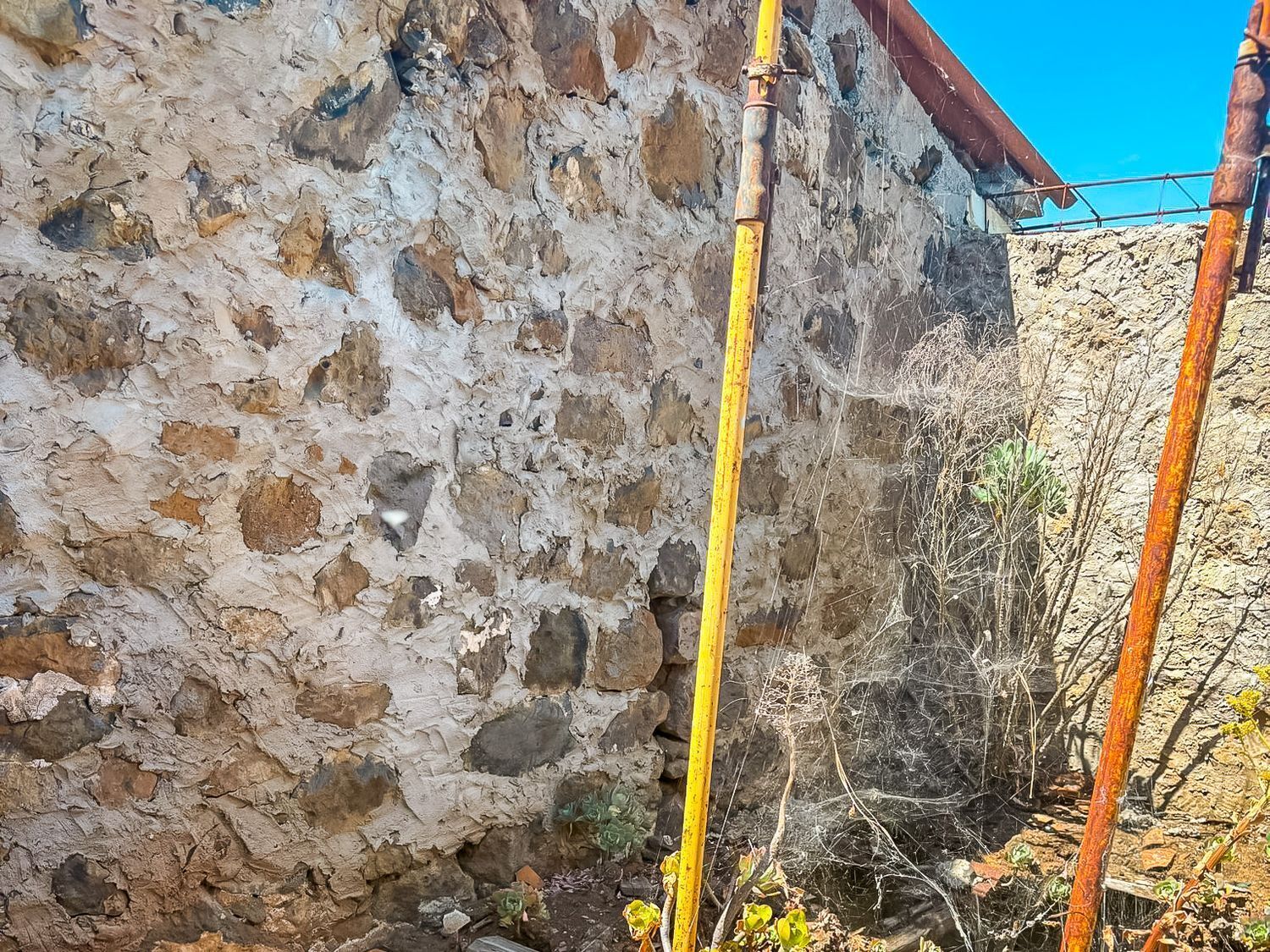 Fincas y solares-Venta-Valleseco-1904774-Foto-64