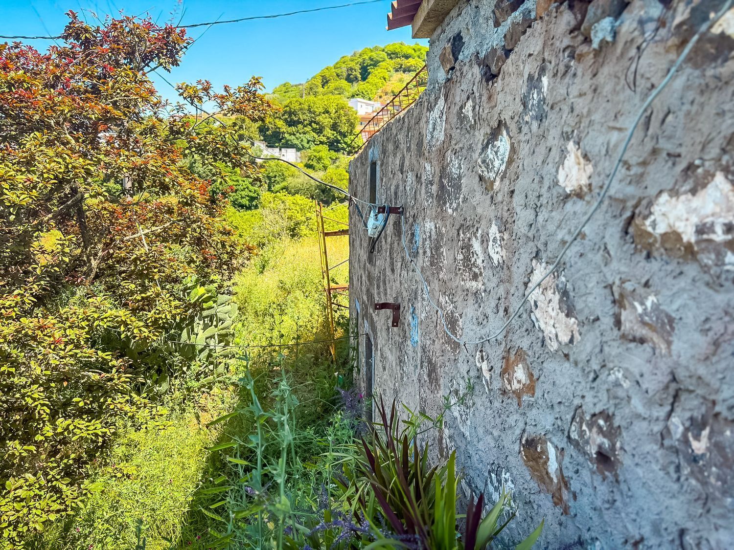 Fincas y solares-Venta-Valleseco-1904774-Foto-63