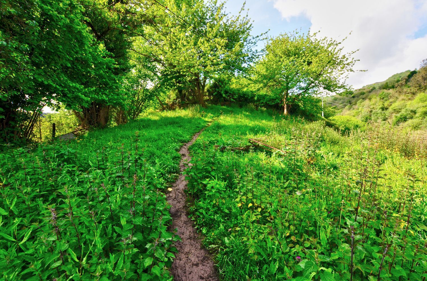 Casas o chalets-Venta-San MartÃ­n del Rey Aurelio-1731775-Foto-42