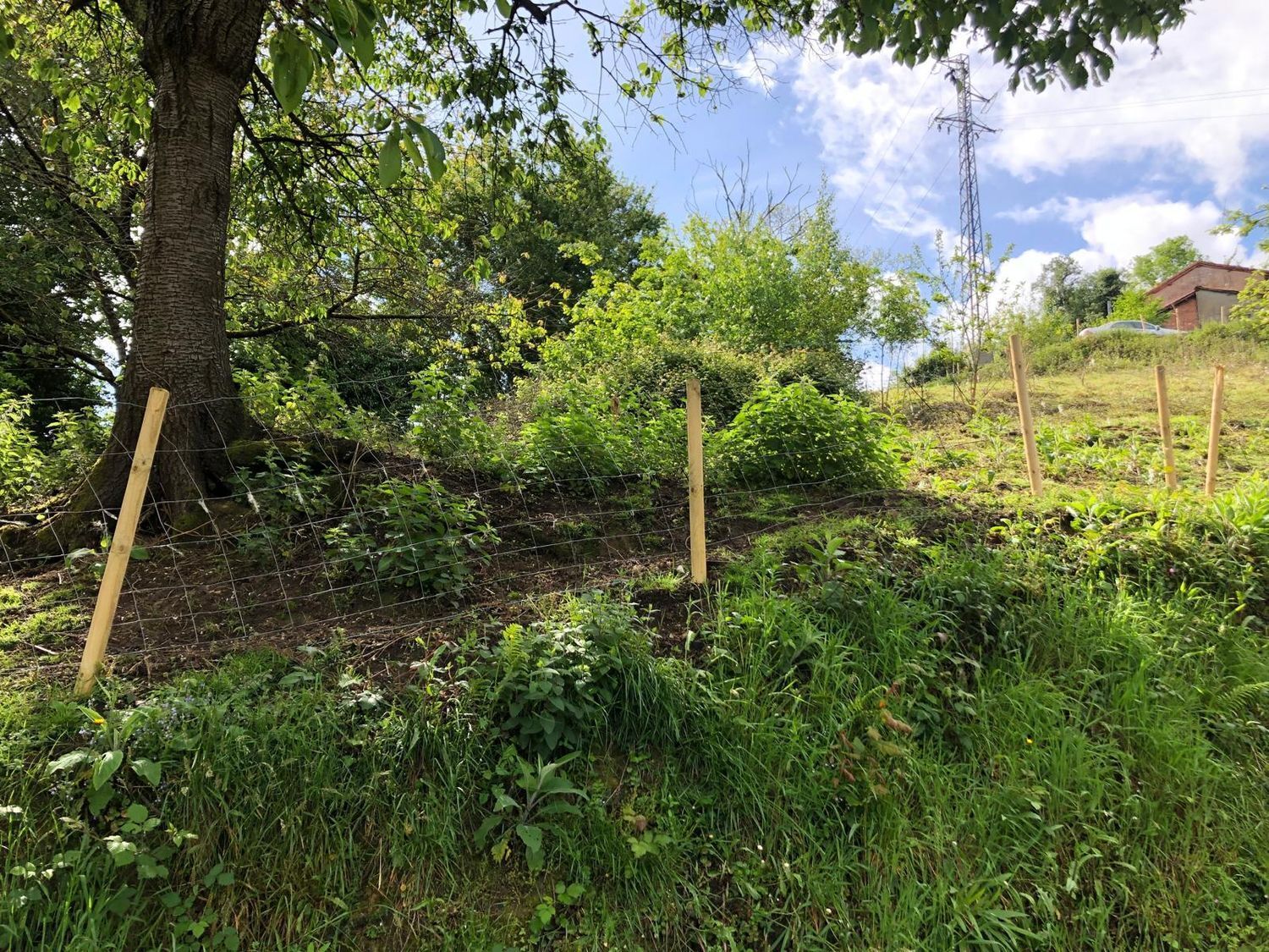 Casas o chalets-Venta-San MartÃ­n del Rey Aurelio-1731775-Foto-49