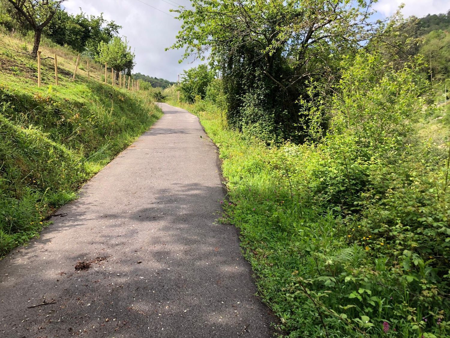 Casas o chalets-Venta-San MartÃ­n del Rey Aurelio-1731775-Foto-52