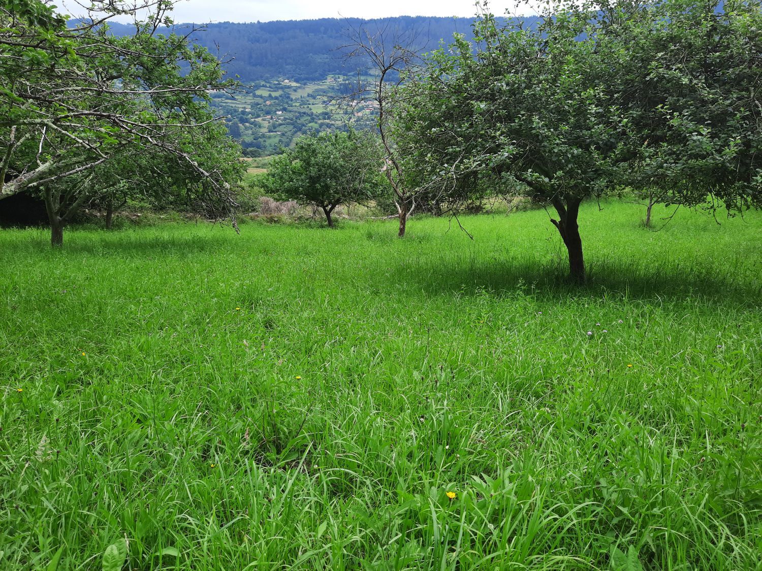 Propiedad en venta en Asturias, Gijón