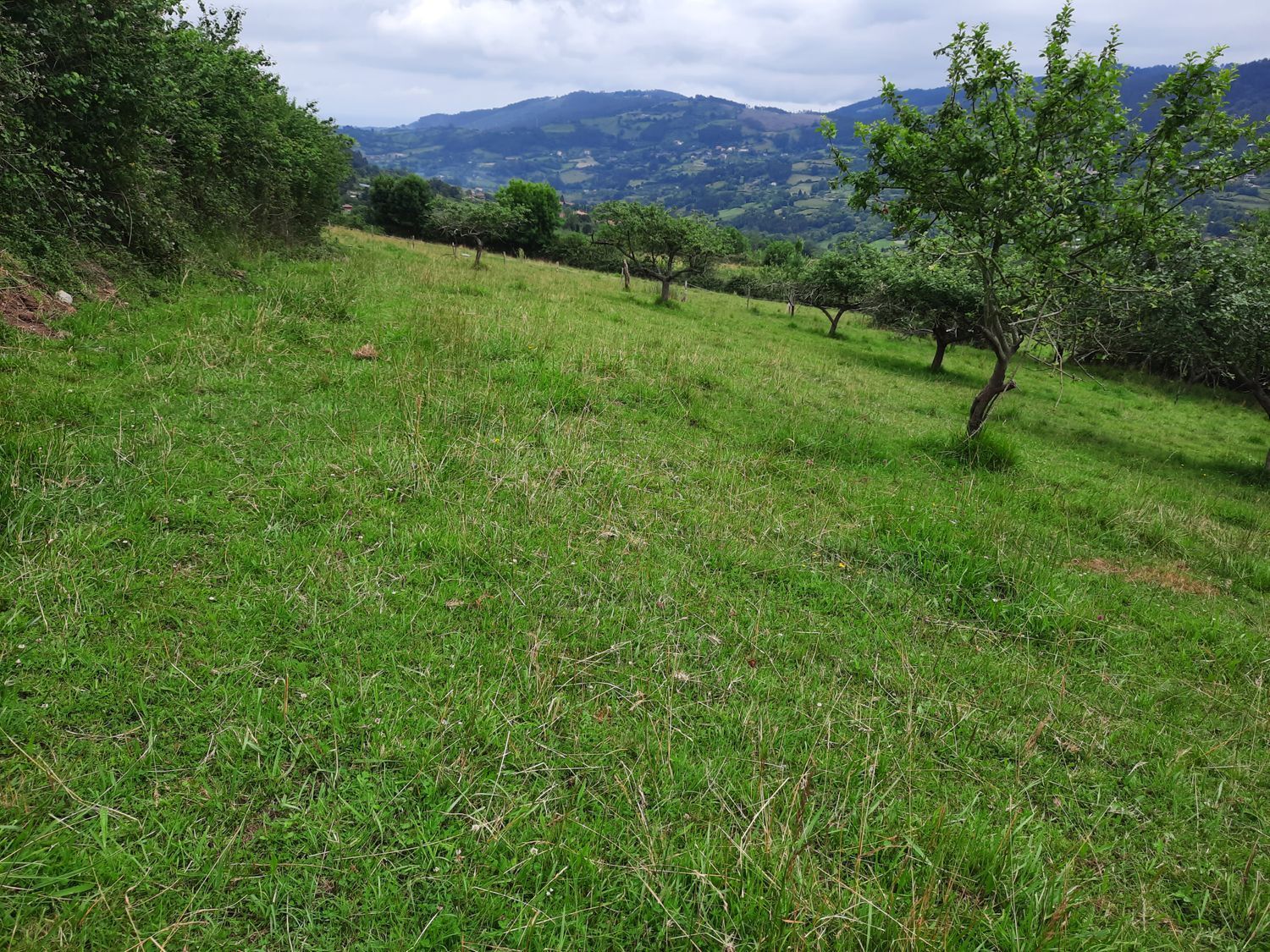 Propiedad en venta en Asturias, Gijón