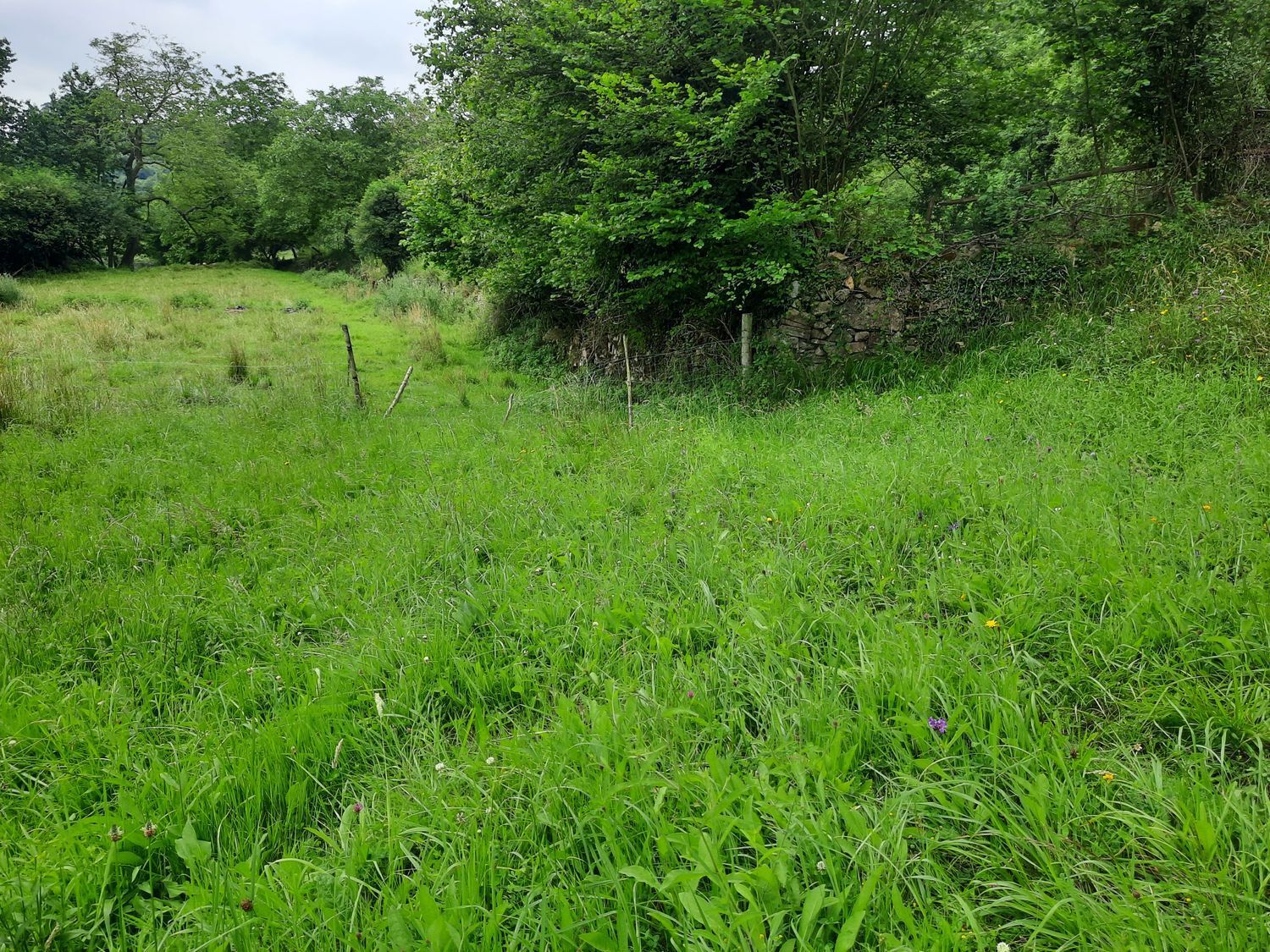Propiedad en venta en Asturias, Gijón