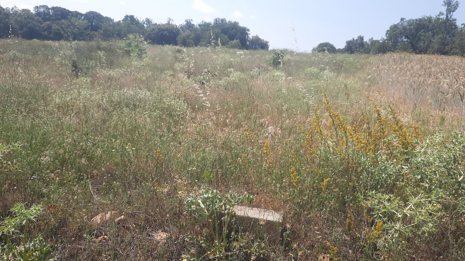 Propiedad en venta en León, Villares de Orbigo
