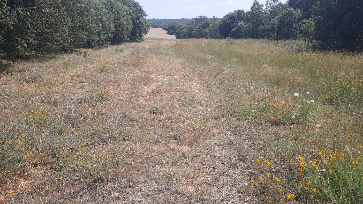 Propiedad en venta en León, Villares de Orbigo
