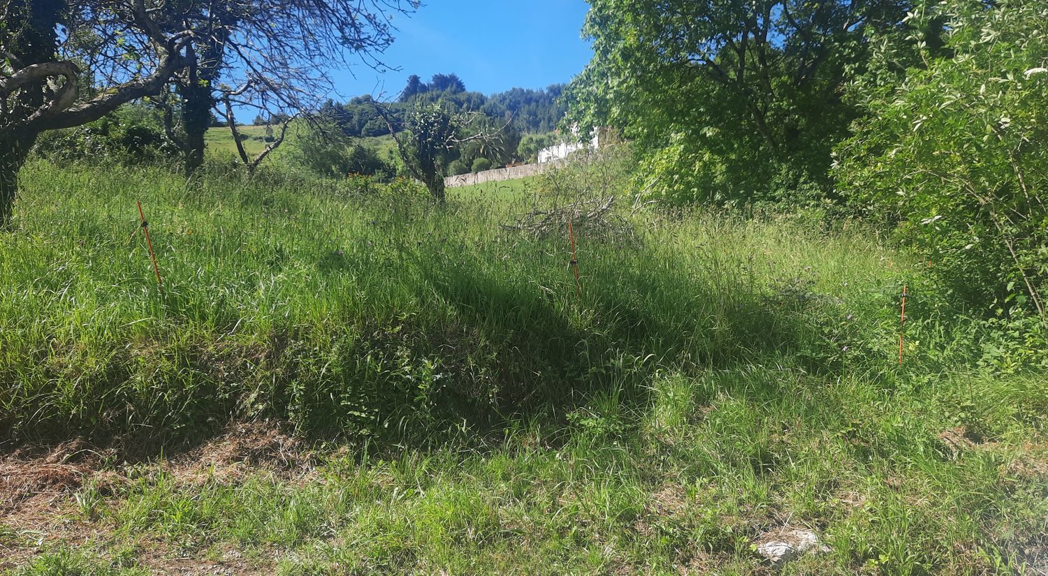 Propiedad en venta en Asturias, Gijón