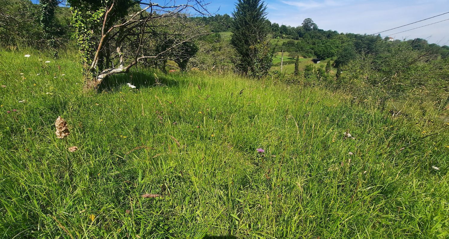 Propiedad en venta en Asturias, Gijón