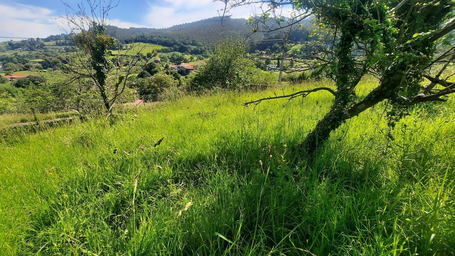 Propiedad en venta en Asturias, Gijón