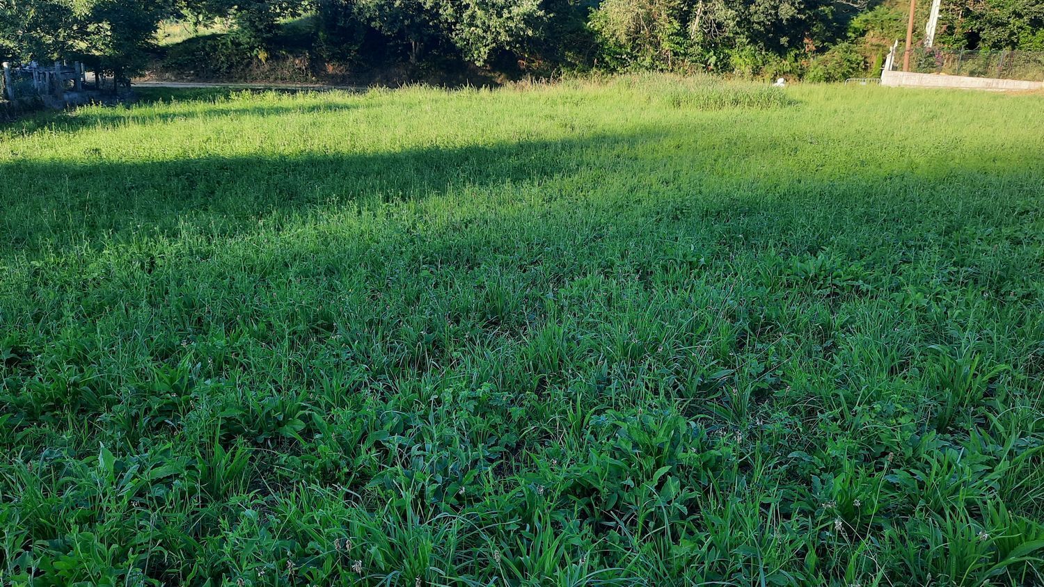Propiedad en venta en Asturias, Gijón