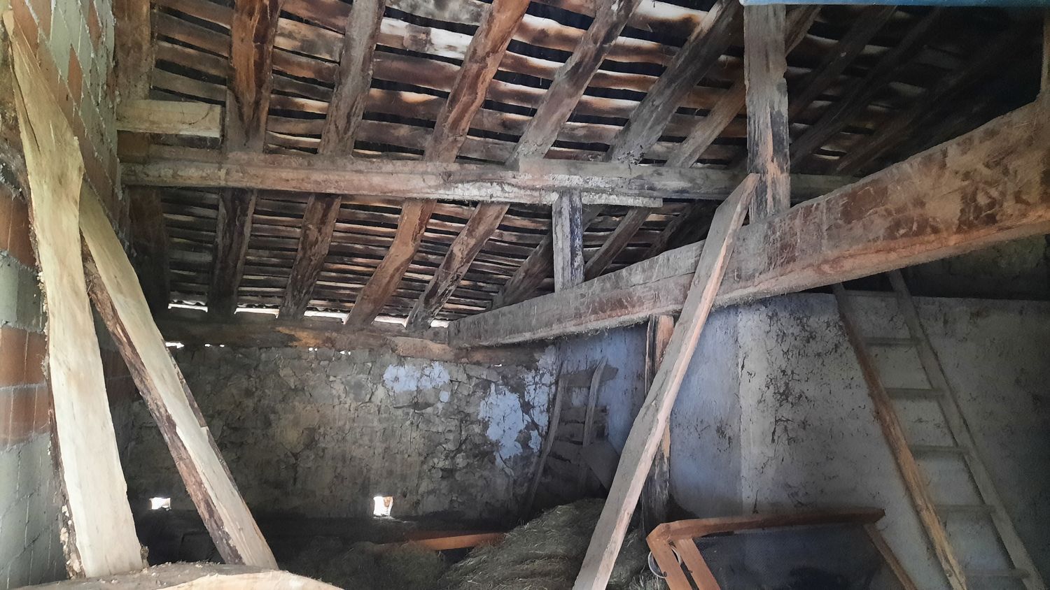 Propiedad en venta en Asturias, Caso