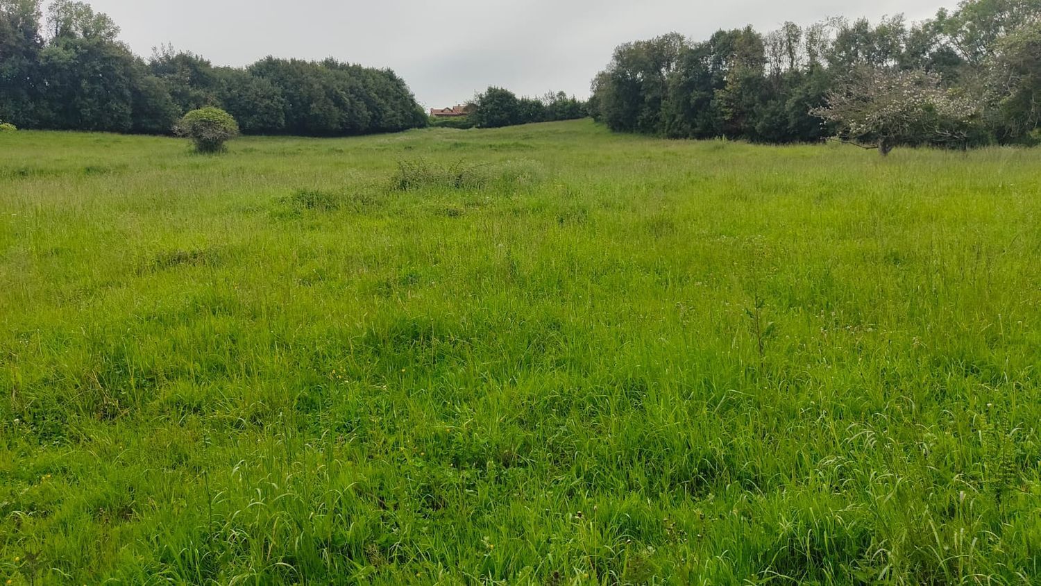 Propiedad en venta en Asturias, Carreño