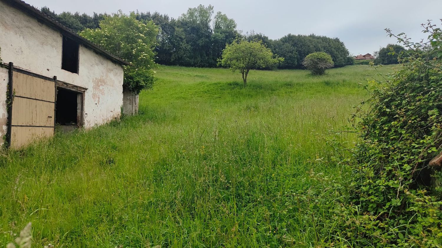 Propiedad en venta en Asturias, Carreño