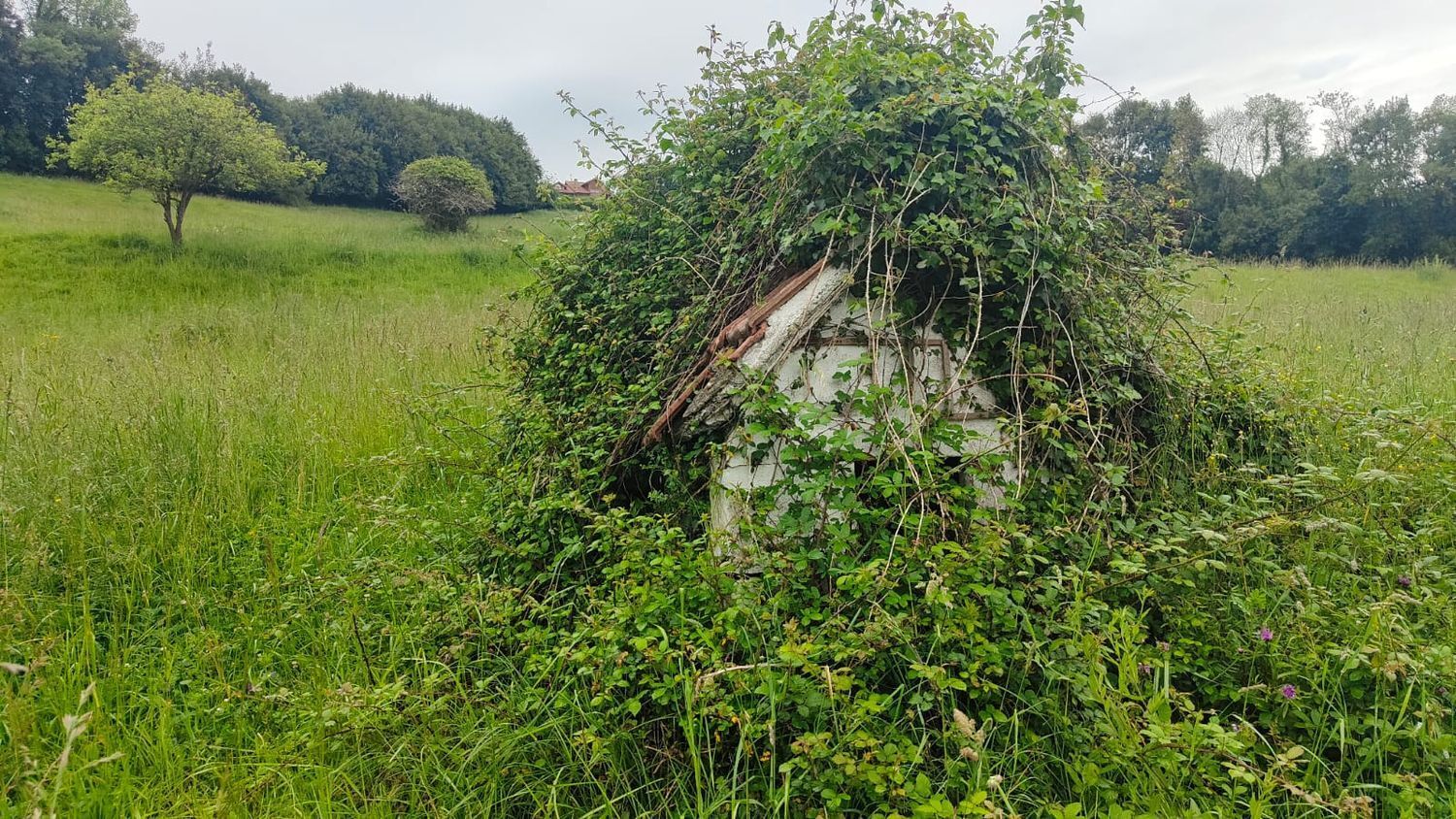 Propiedad en venta en Asturias, Carreño